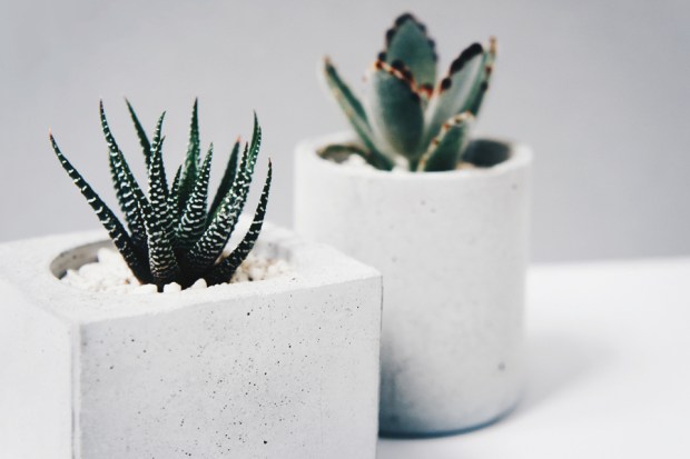 / 一方一圓 / 多肉水泥盆栽創作