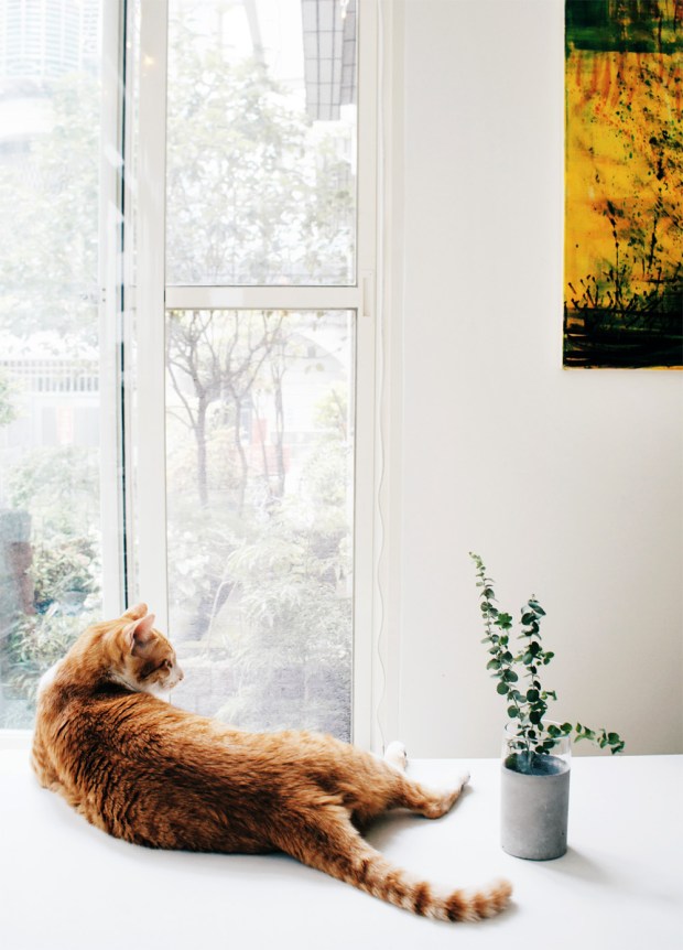 灰調實驗室空間