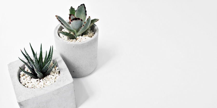 水泥手作&多肉植栽課程:一方一圓 / 多肉水泥盆栽輕體驗