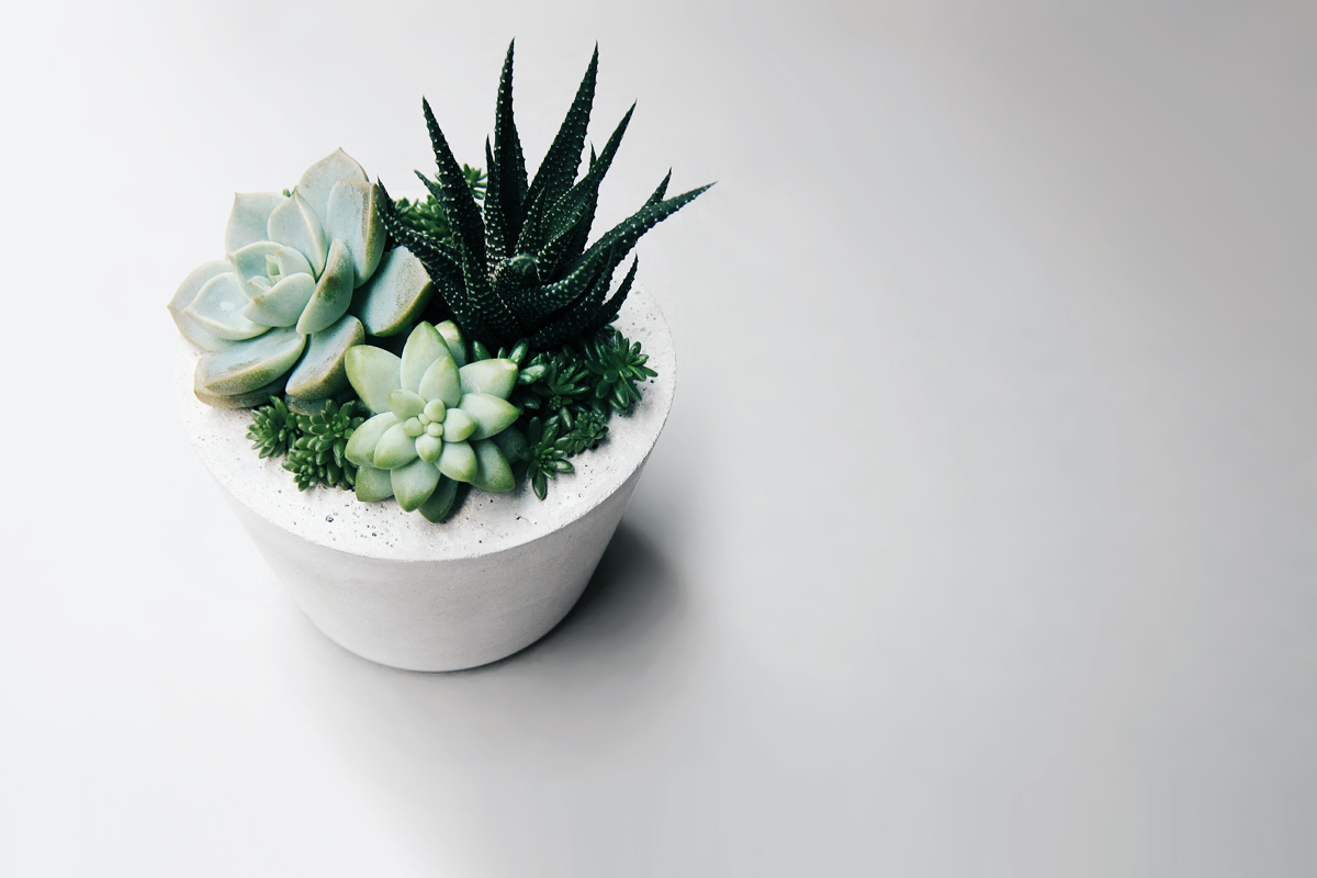 CHUBBY 大肚腩胖胖圓水泥盆器