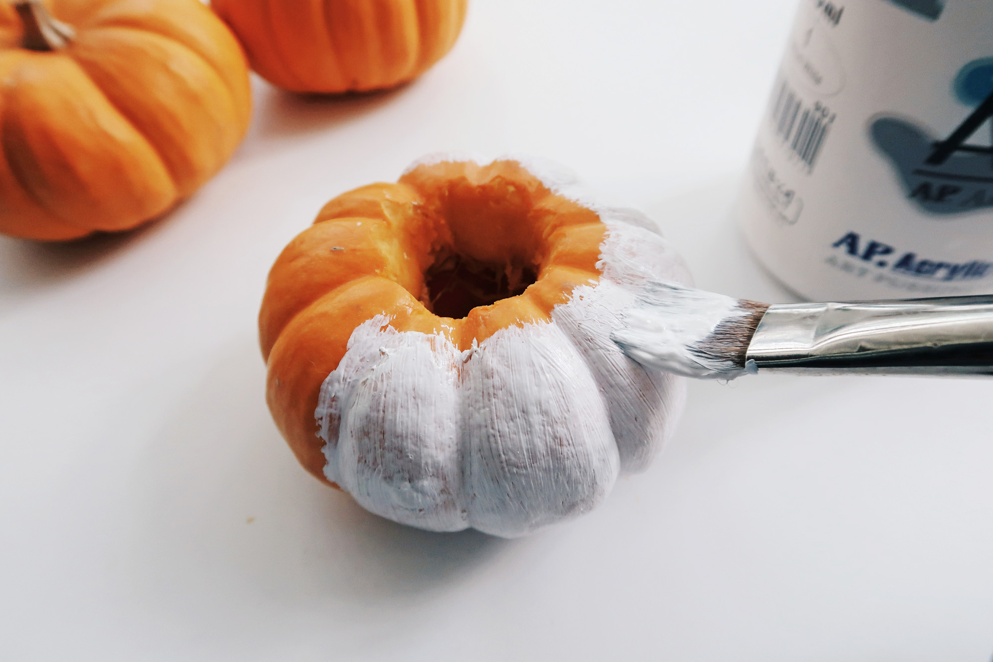 DIY手作教學：萬聖節・白色南瓜多肉盆栽 Pumpkin Planters