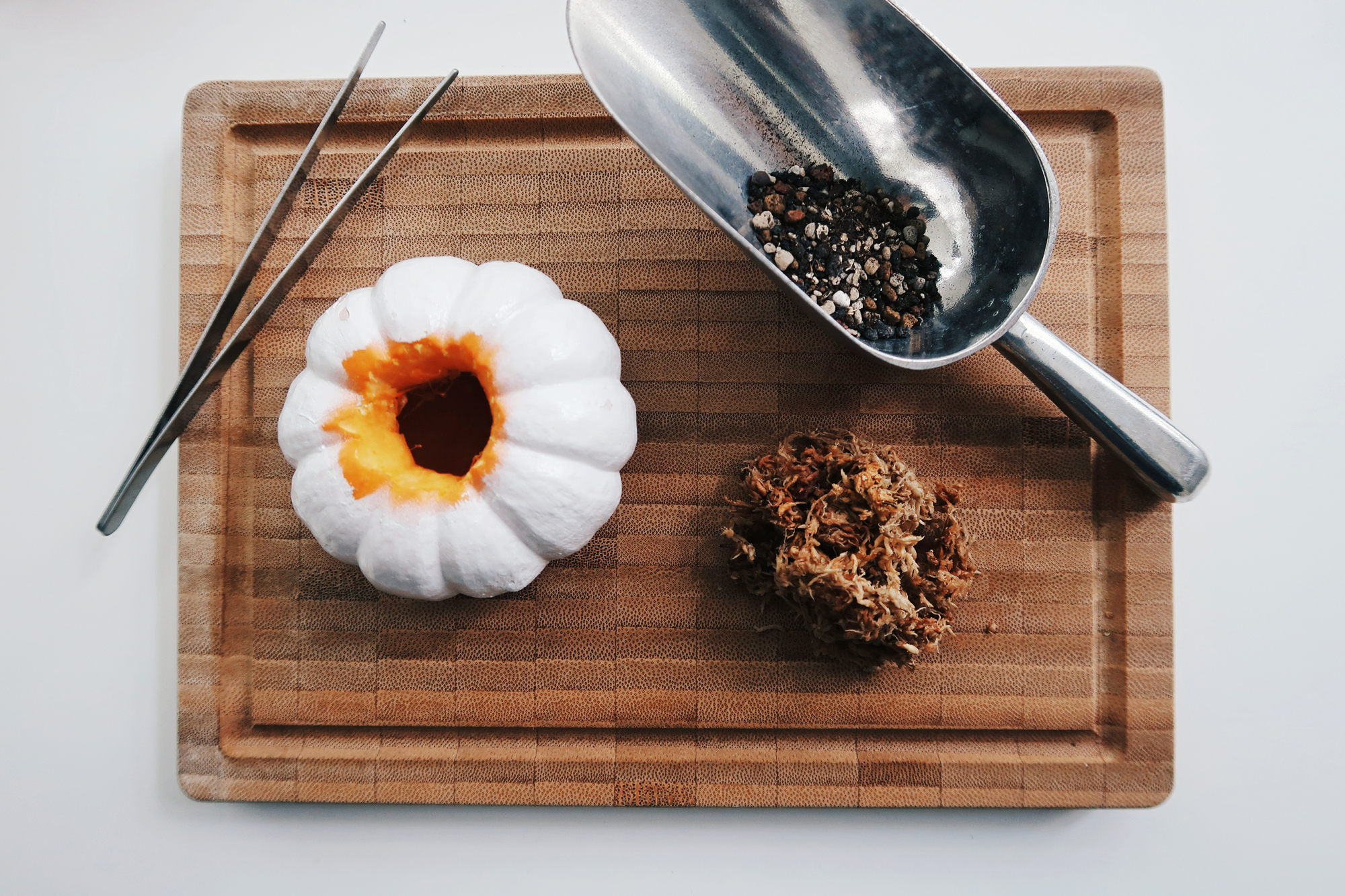 DIY手作教學：萬聖節・白色南瓜多肉盆栽 Pumpkin Planters