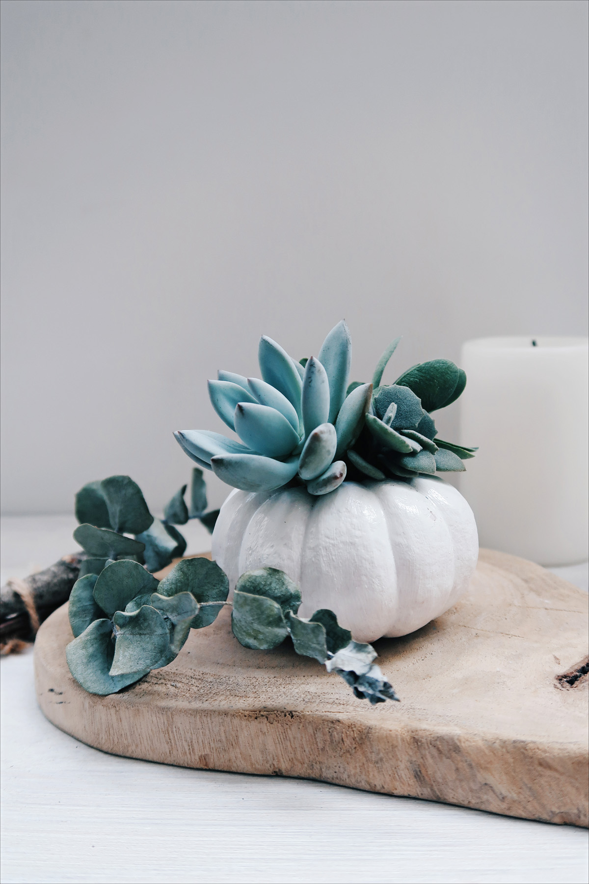 DIY手作教學：萬聖節・白色南瓜多肉盆栽