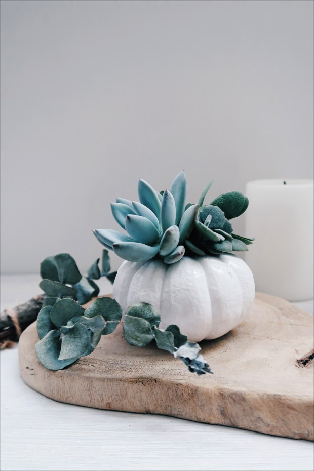 DIY手作教學:萬聖節・白色南瓜多肉盆栽