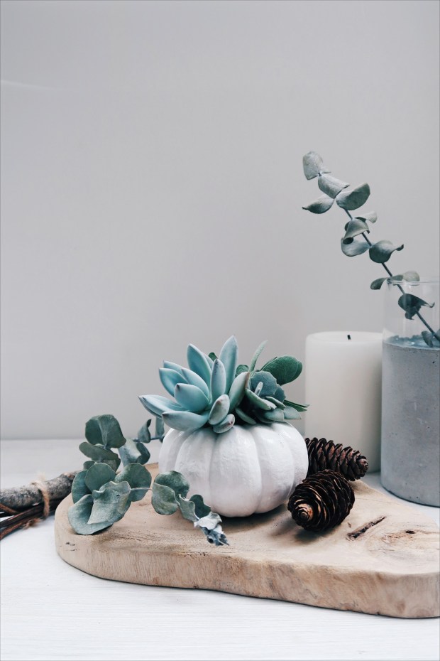 DIY手作教學:萬聖節・白色南瓜多肉盆栽