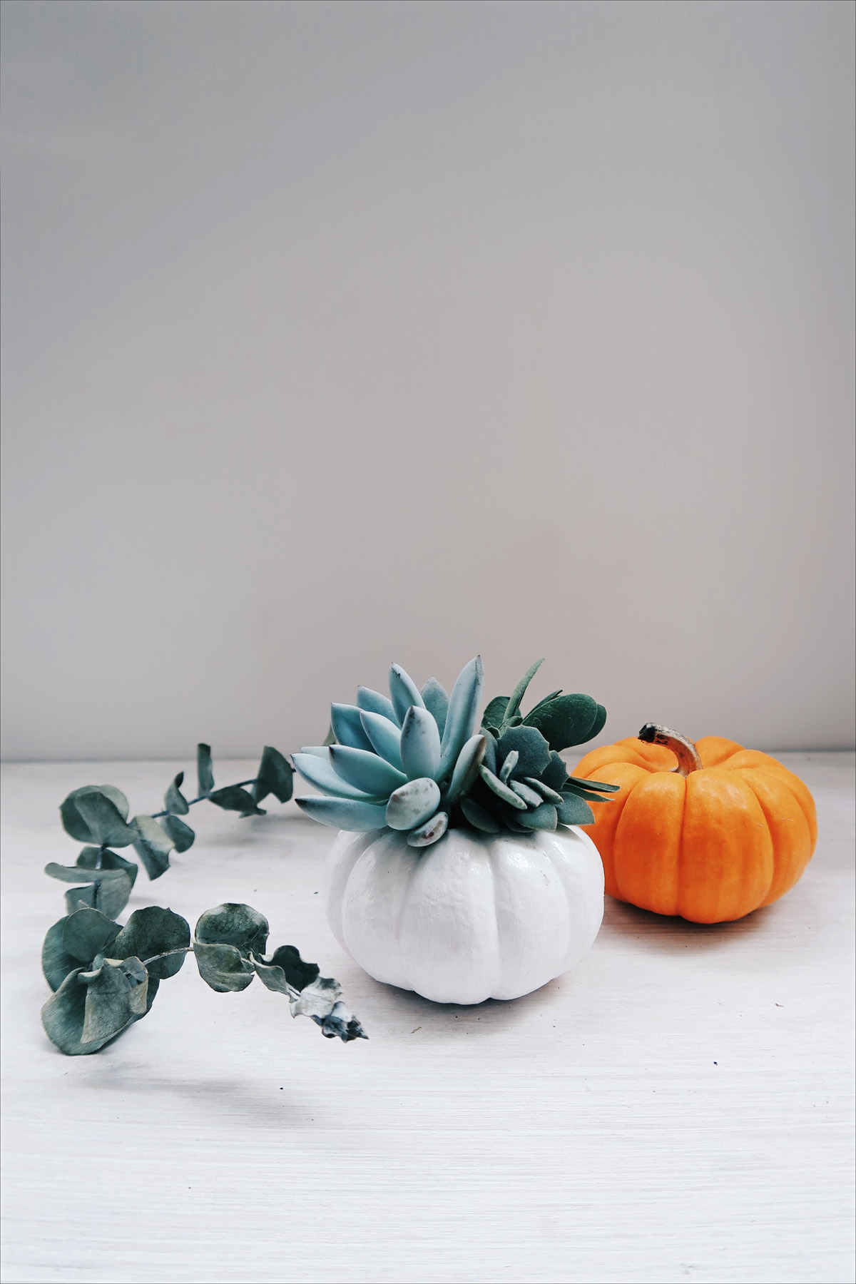 DIY手作教學：萬聖節・白色南瓜多肉盆栽