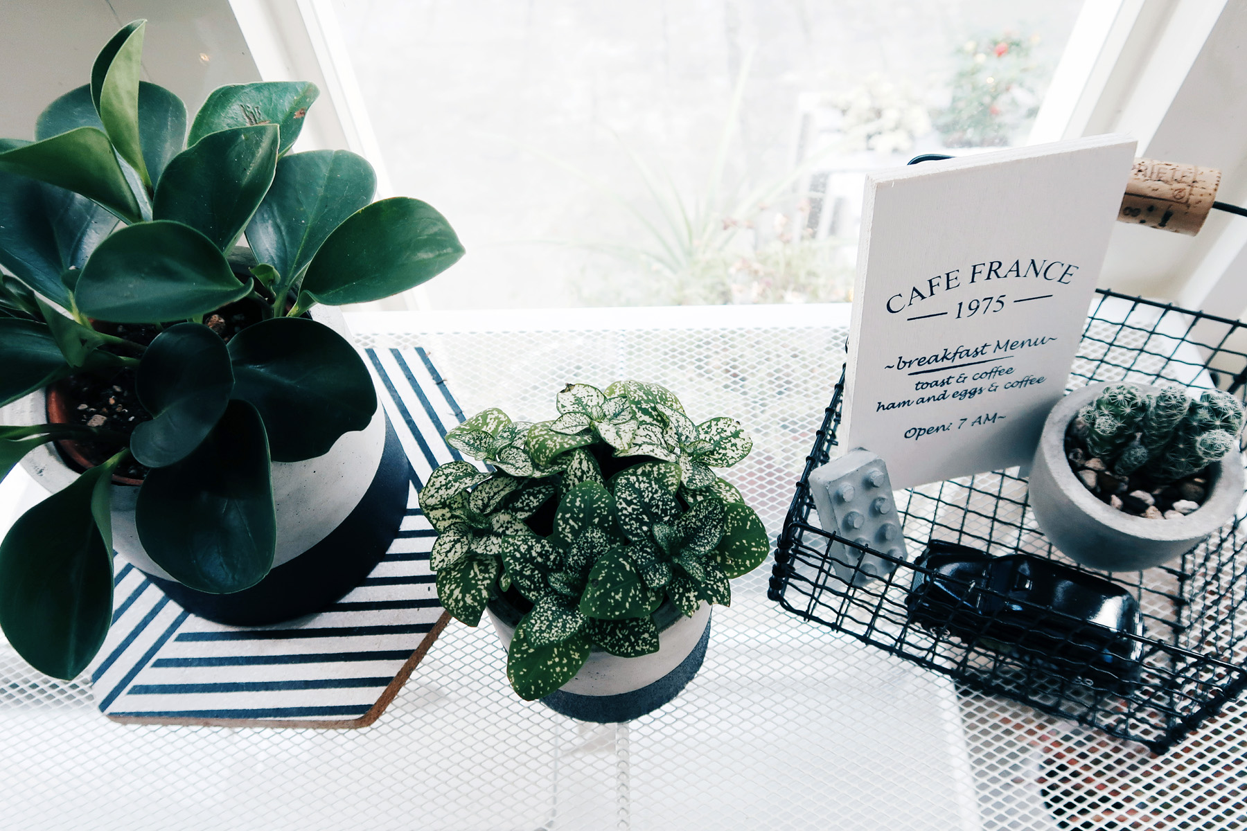 DIY 收納擺飾小黑鐵籃：花架佈置與雜貨