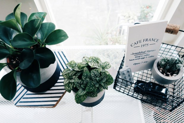 DIY 收納擺飾小黑鐵籃：花架佈置與雜貨