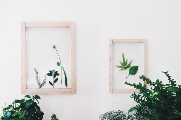 DIY 春天氣息・透明壓花掛畫