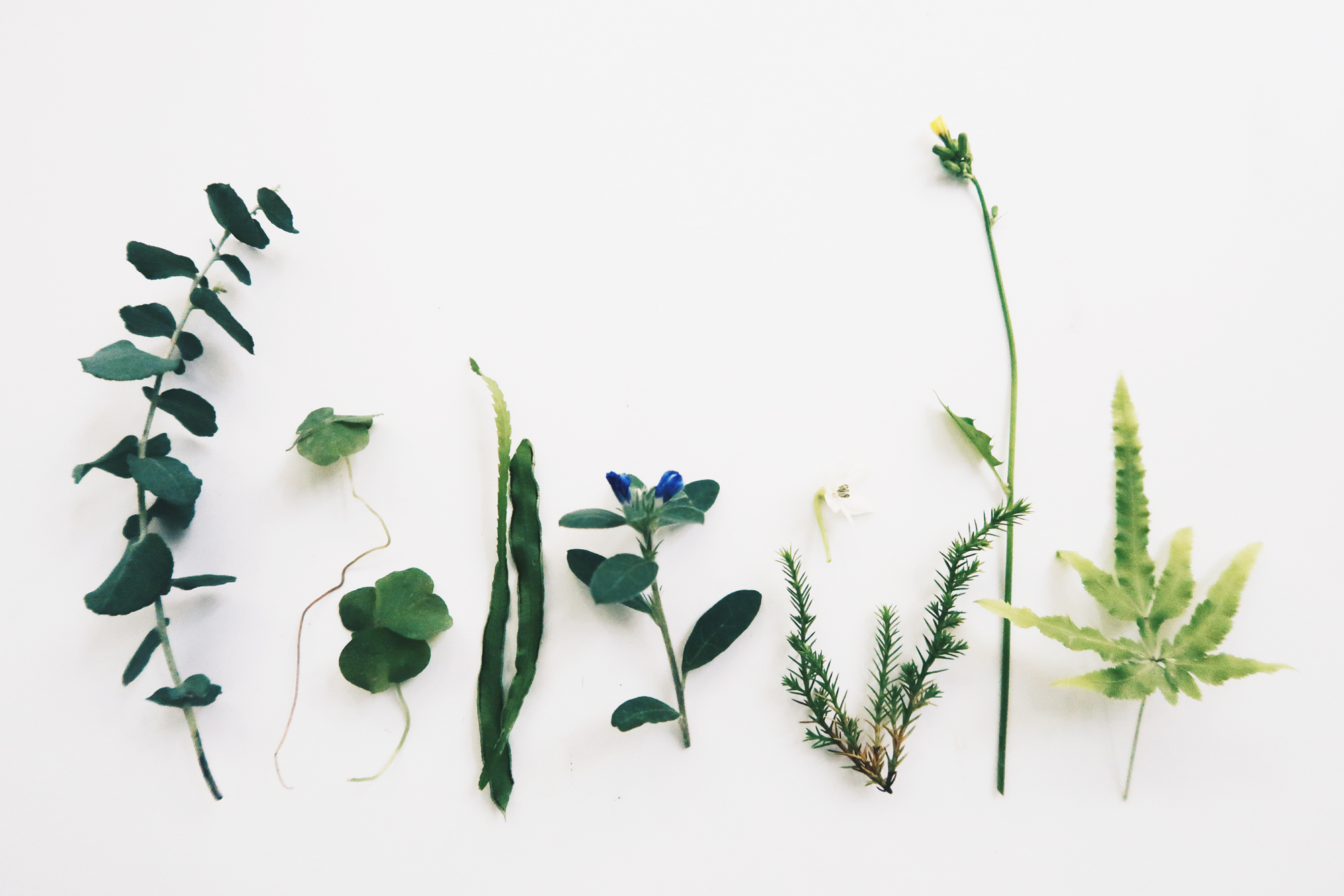 / 灰調 / DIY手作小教學：透明壓花掛畫 Sept 1