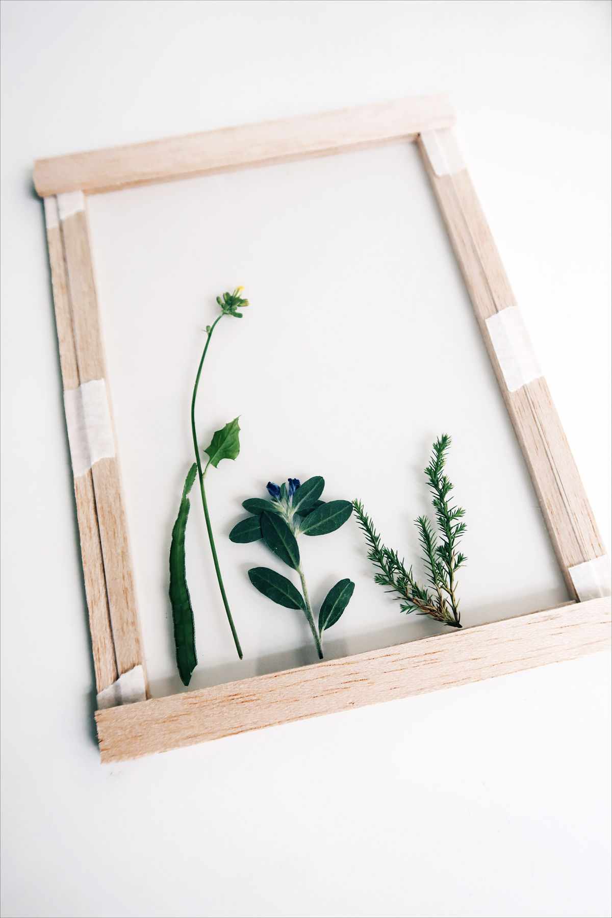 / 灰調 / DIY手作小教學：透明壓花掛畫 Sept 4