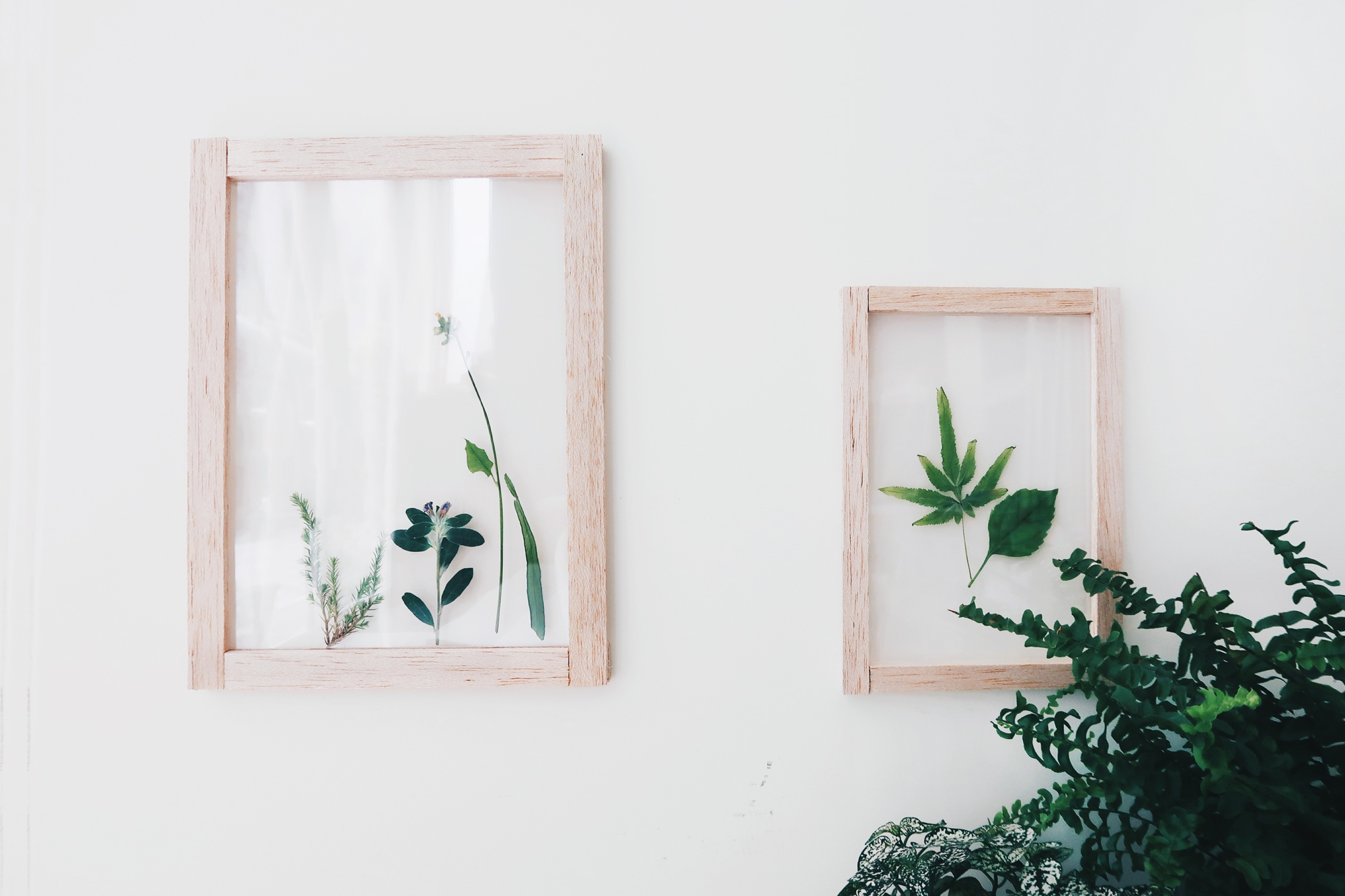 / 灰調 / DIY手作小教學：透明壓花掛畫 Sept 5