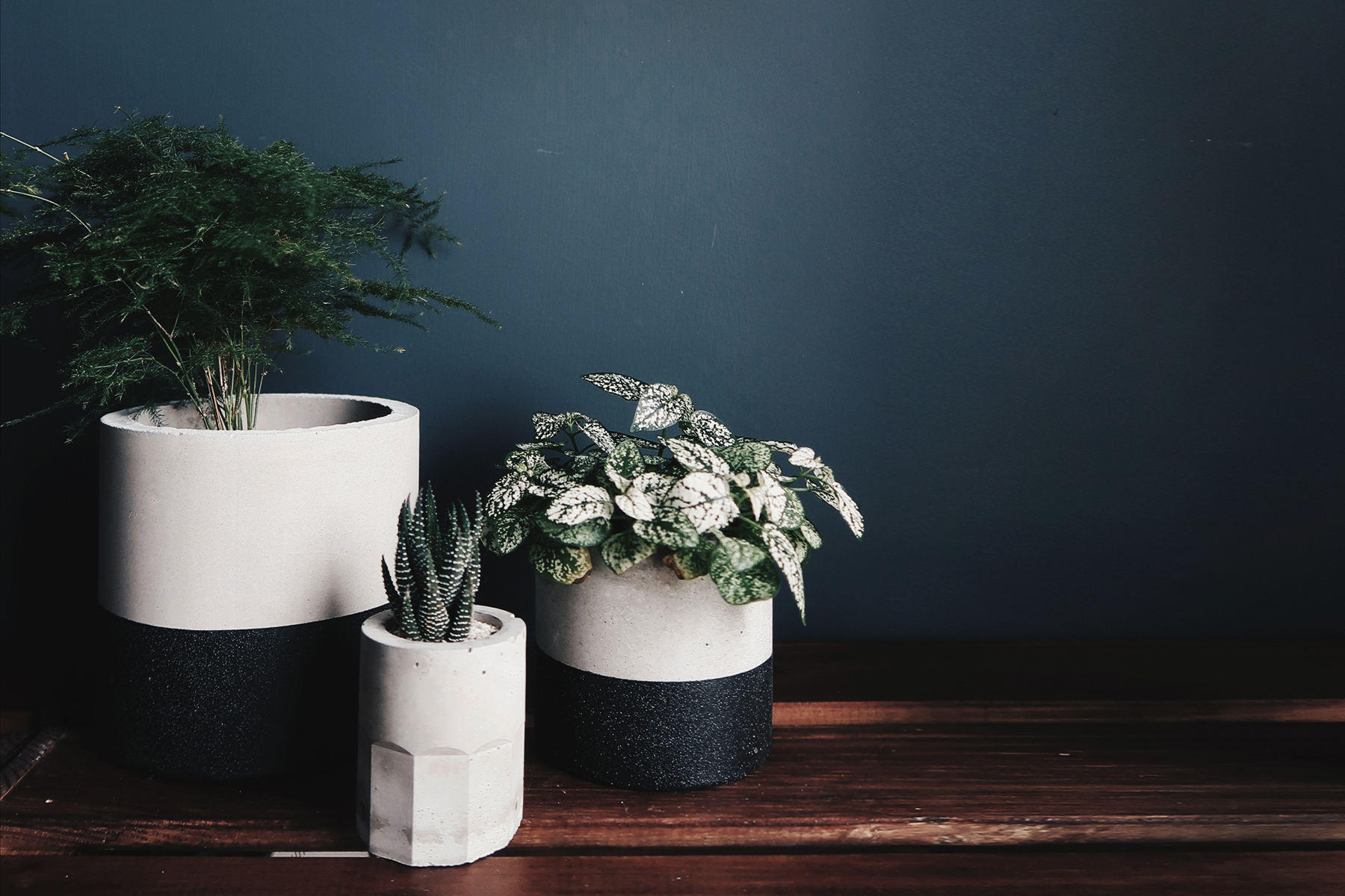 TEKTITE 黑隕石深圓水泥盆器