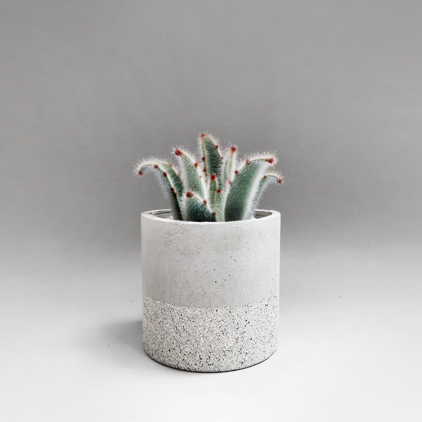 Home Decor 水泥家飾・居家擺飾・植物生活・設計禮物