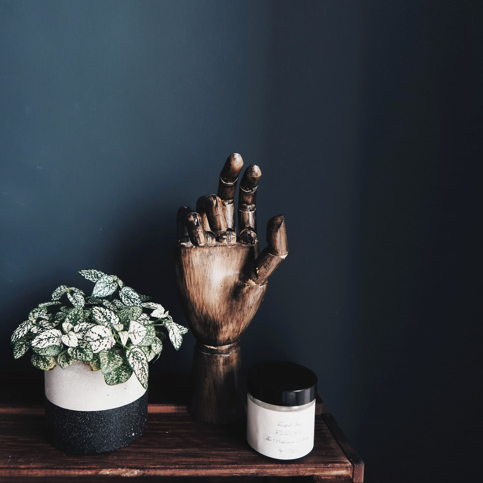 Home Decor 水泥家飾・居家擺飾・植物生活・設計禮物