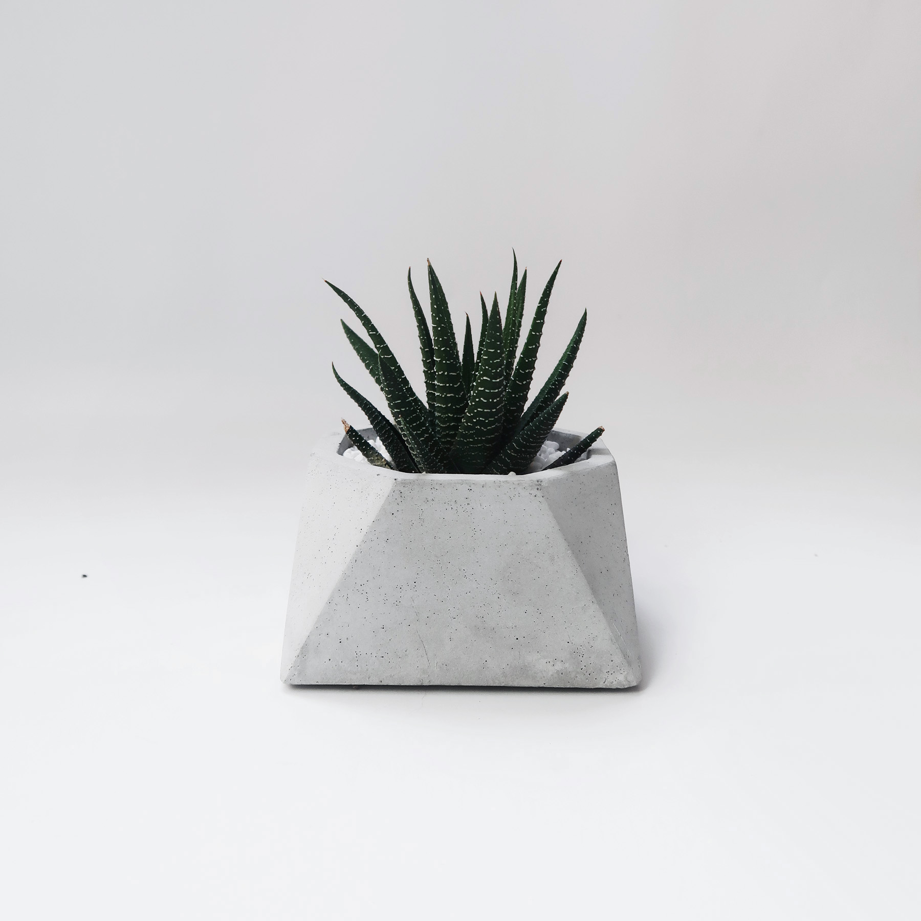 Concrete Design 視角八邊幾何水泥盆器・盆栽・設計禮物