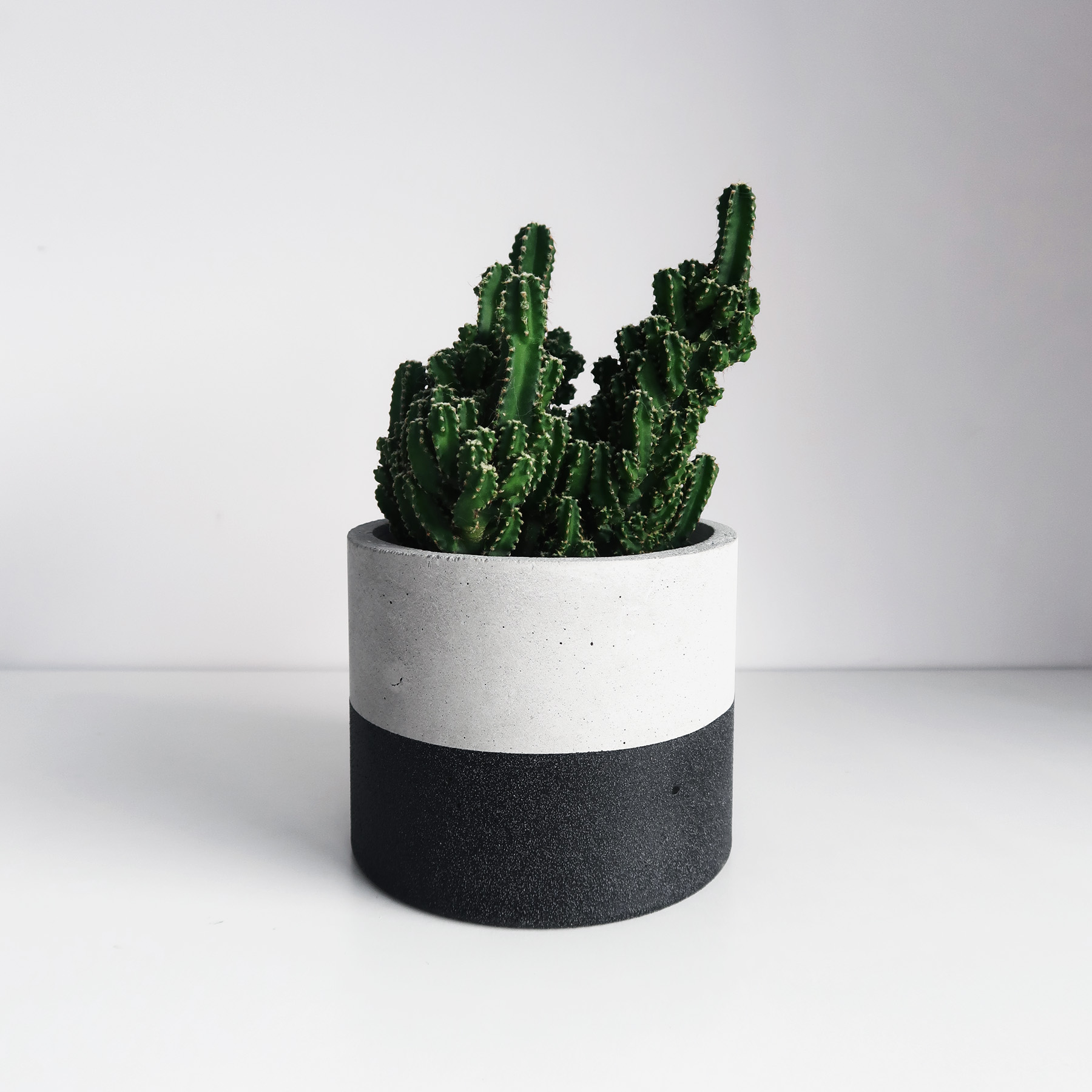 Concrete Design 黑隕石深圓水泥盆器