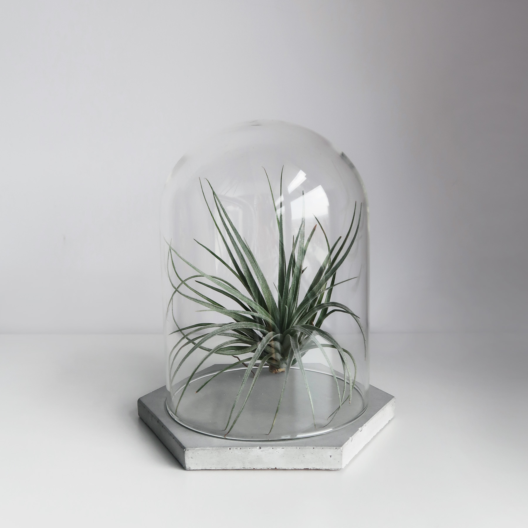 幾何設計水泥飾盤玻璃鐘罩・居家擺飾・飾品陳列