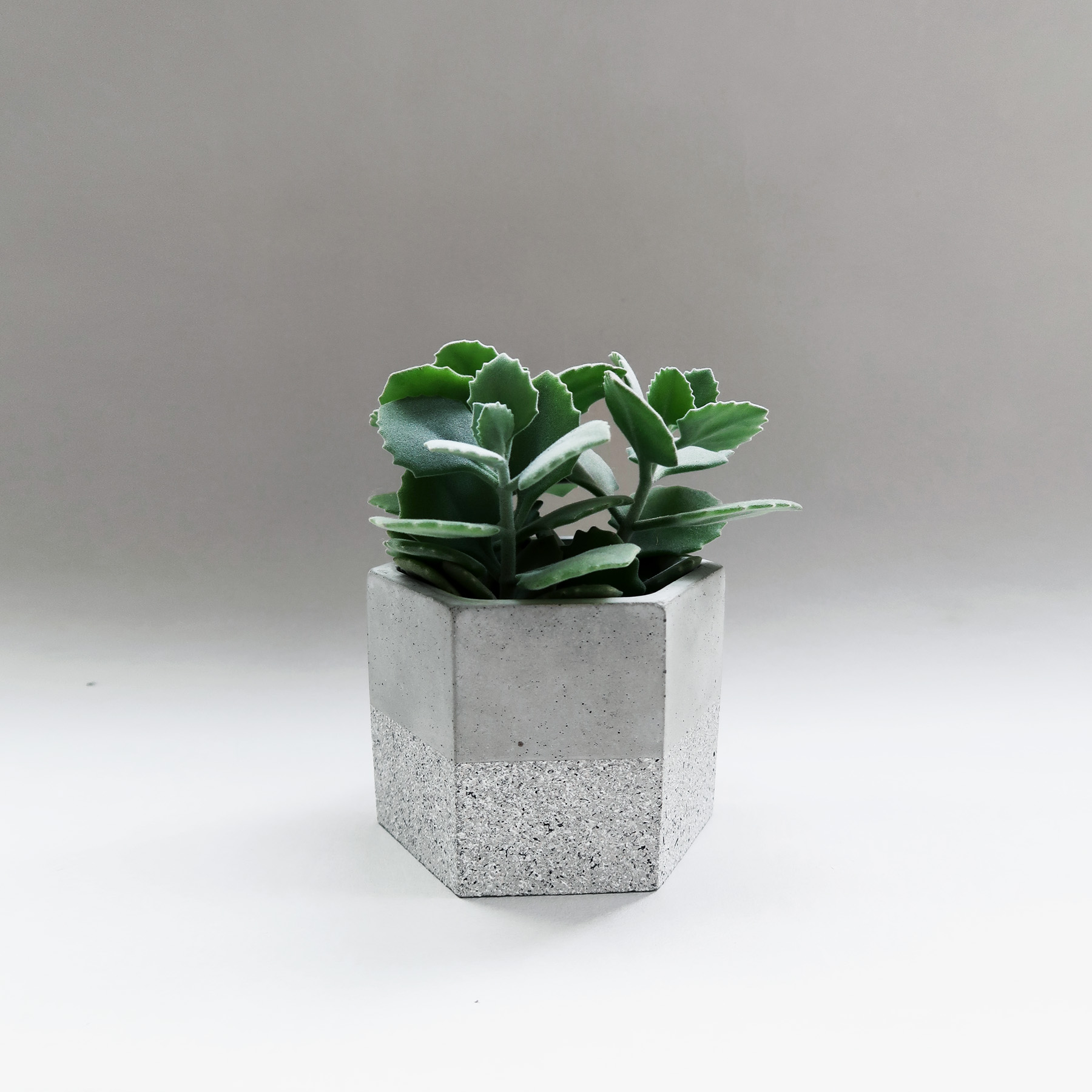 Home Decor 水泥家飾・居家擺飾・植物生活・設計禮物