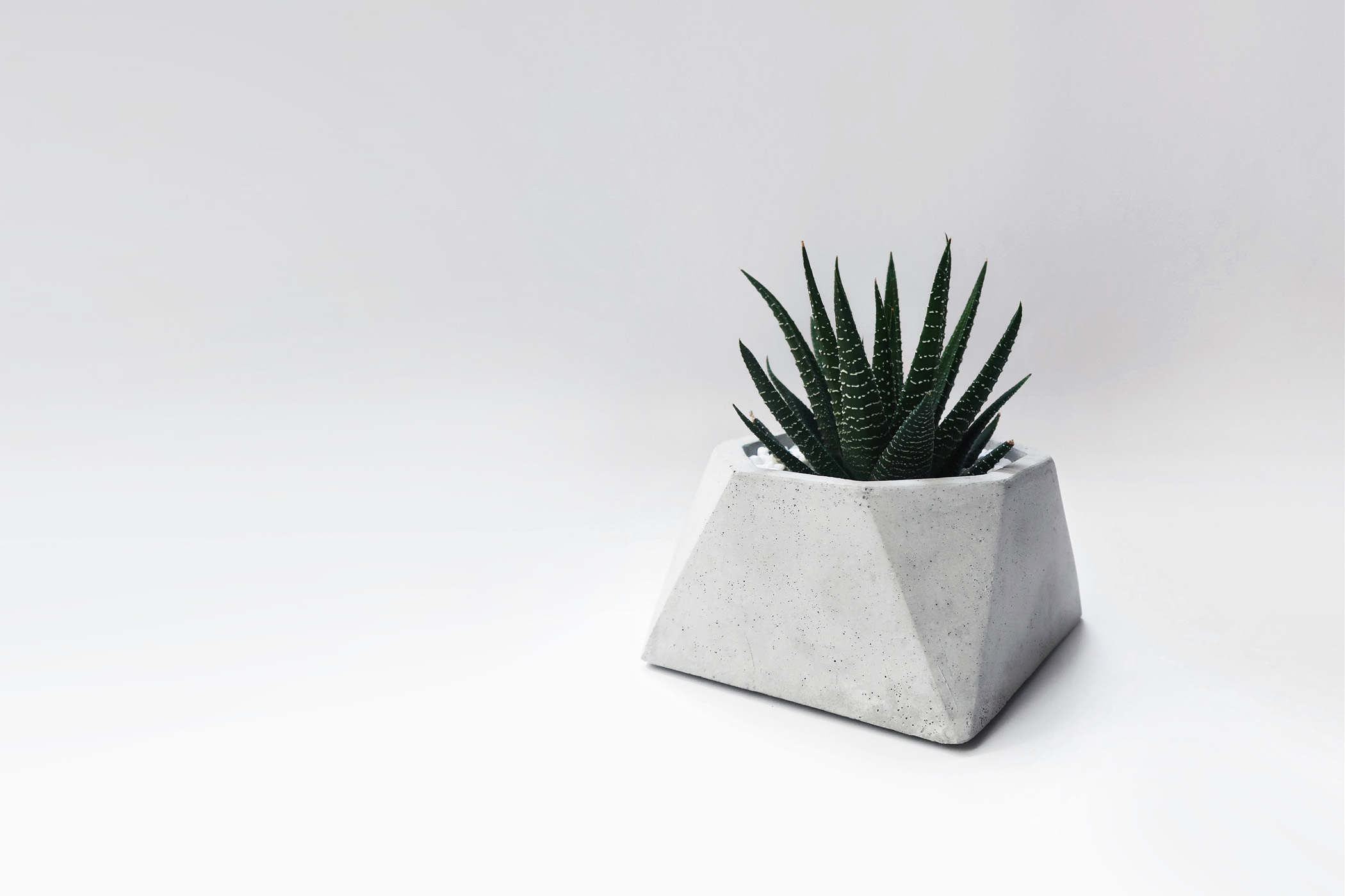 VIEWPOINT 視角八邊幾何水泥盆器・花器