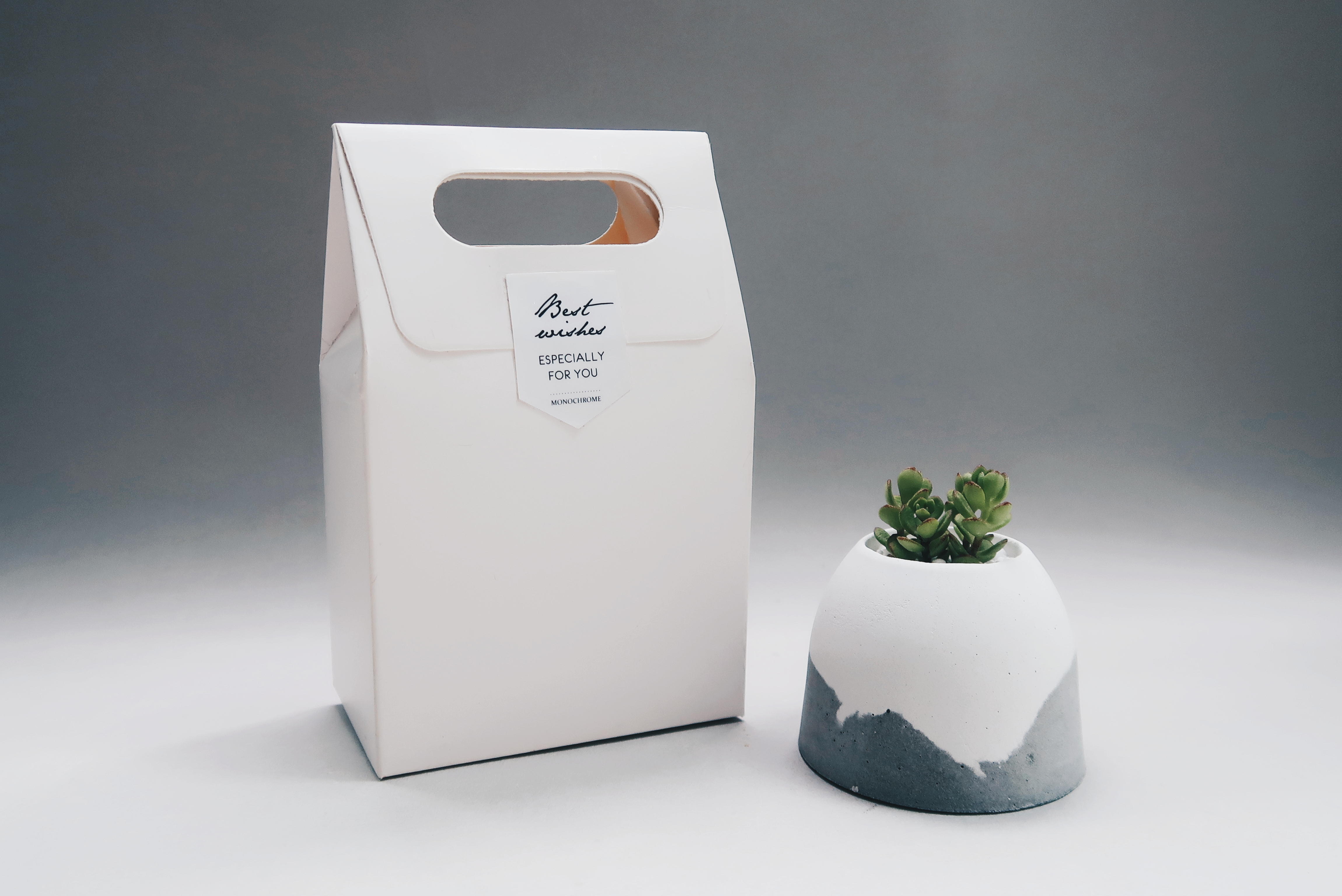 HILL ISLAND 小島山多肉雪景水泥盆栽