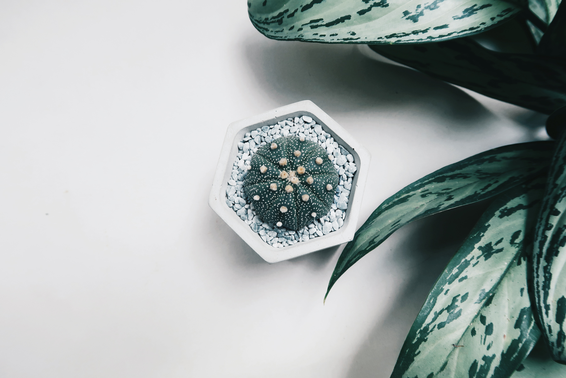 GRANITE 花崗岩六角水泥盆器