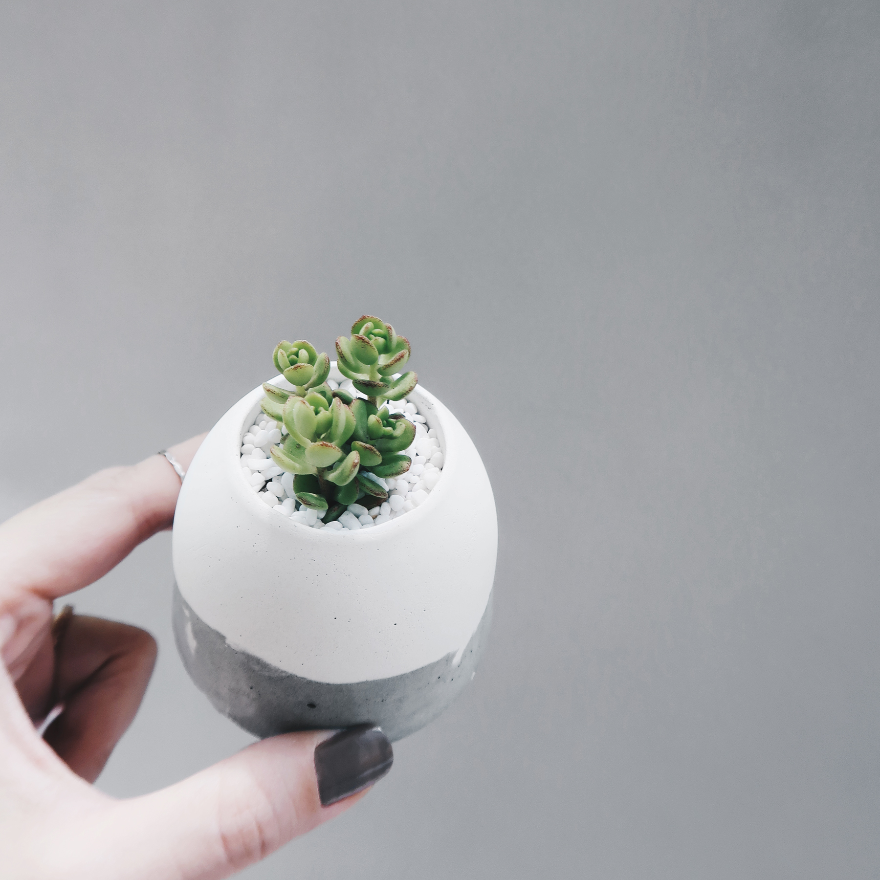 HILL ISLAND 小島山多肉雪景水泥盆栽