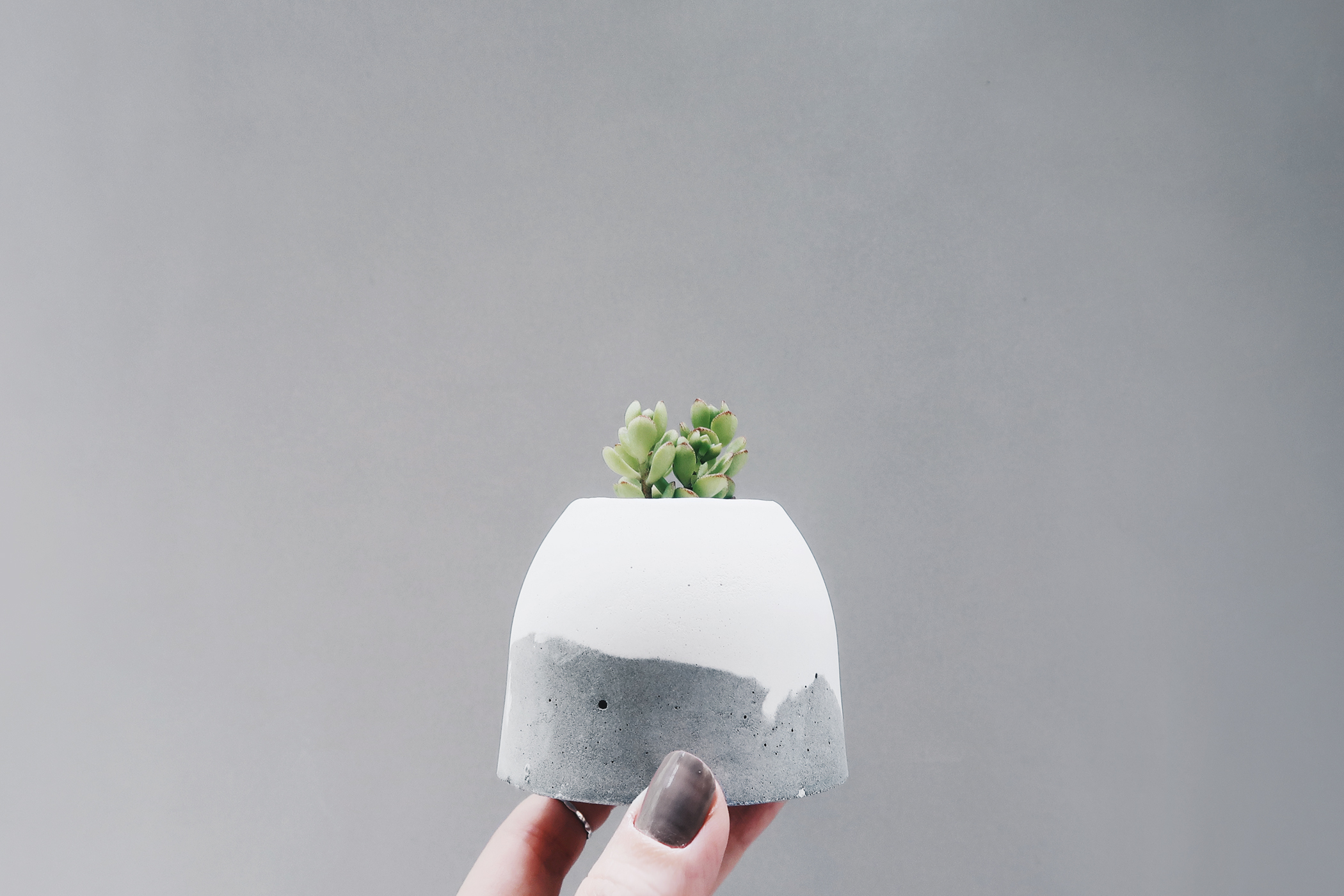 HILL ISLAND 小島山多肉雪景水泥盆栽