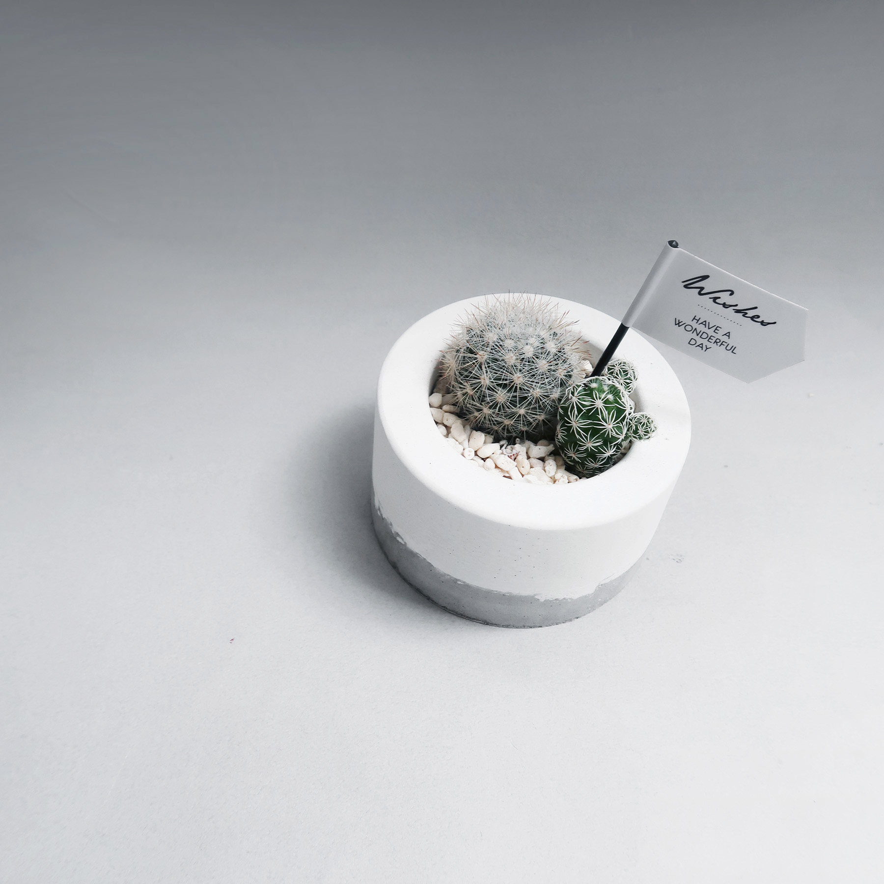 LITTLE CAKE 小圓蛋糕雙層鮮奶油水泥盆栽