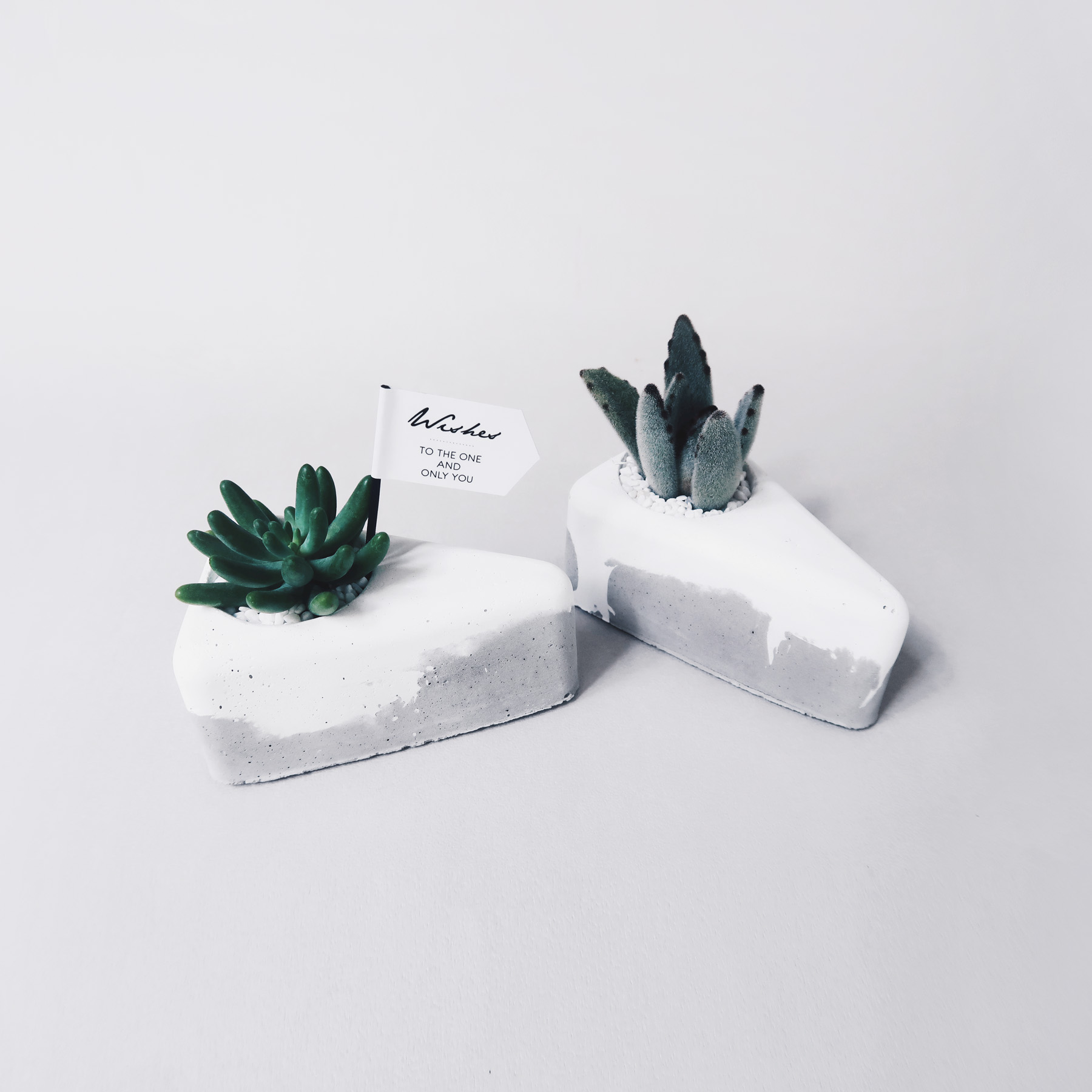 A PIECE OF CAKE 切塊蛋糕 / 仙人掌・多肉雙層鮮奶油水泥盆栽