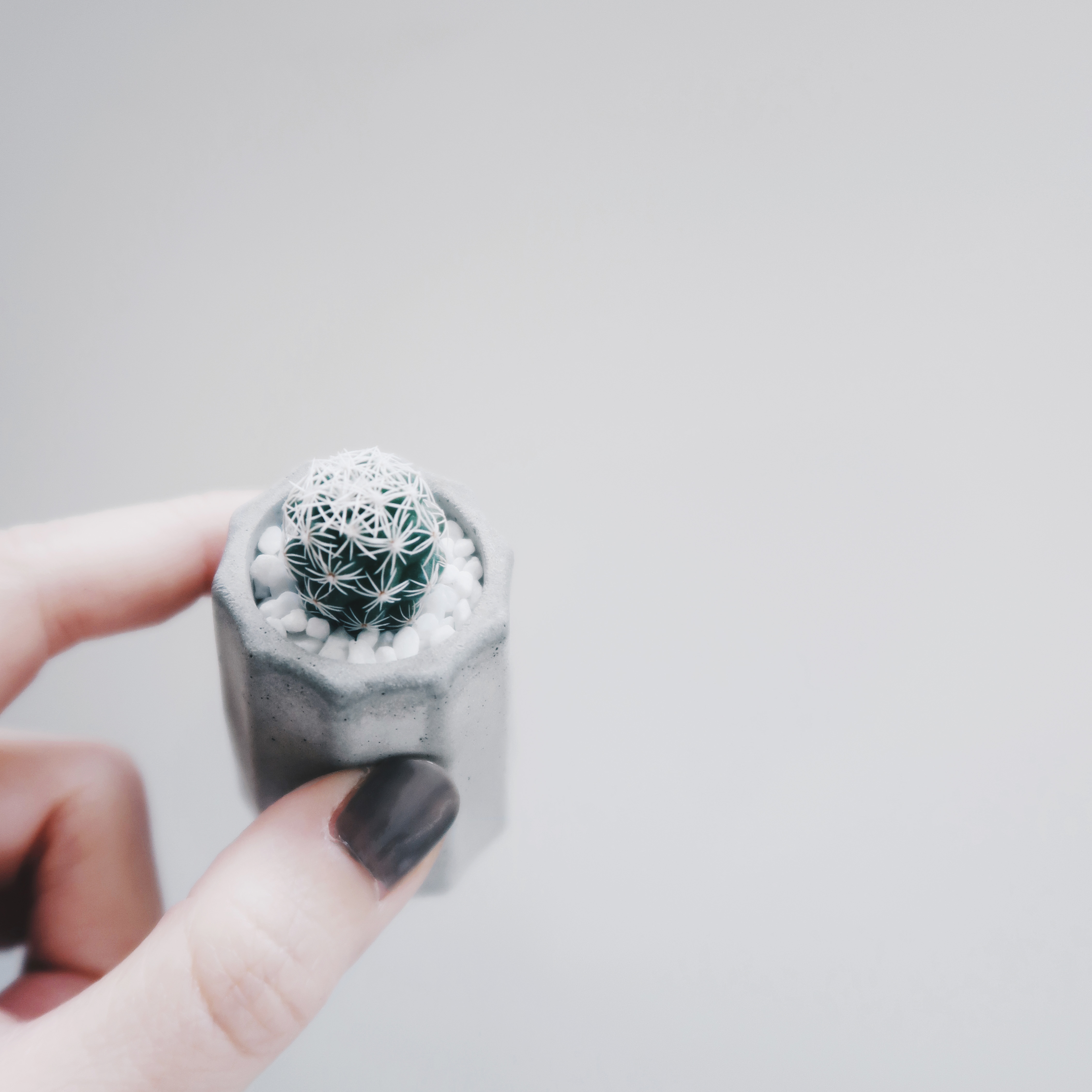 MINI CANELÉ 迷你可麗露 / 多肉・仙人掌水泥甜點盆栽