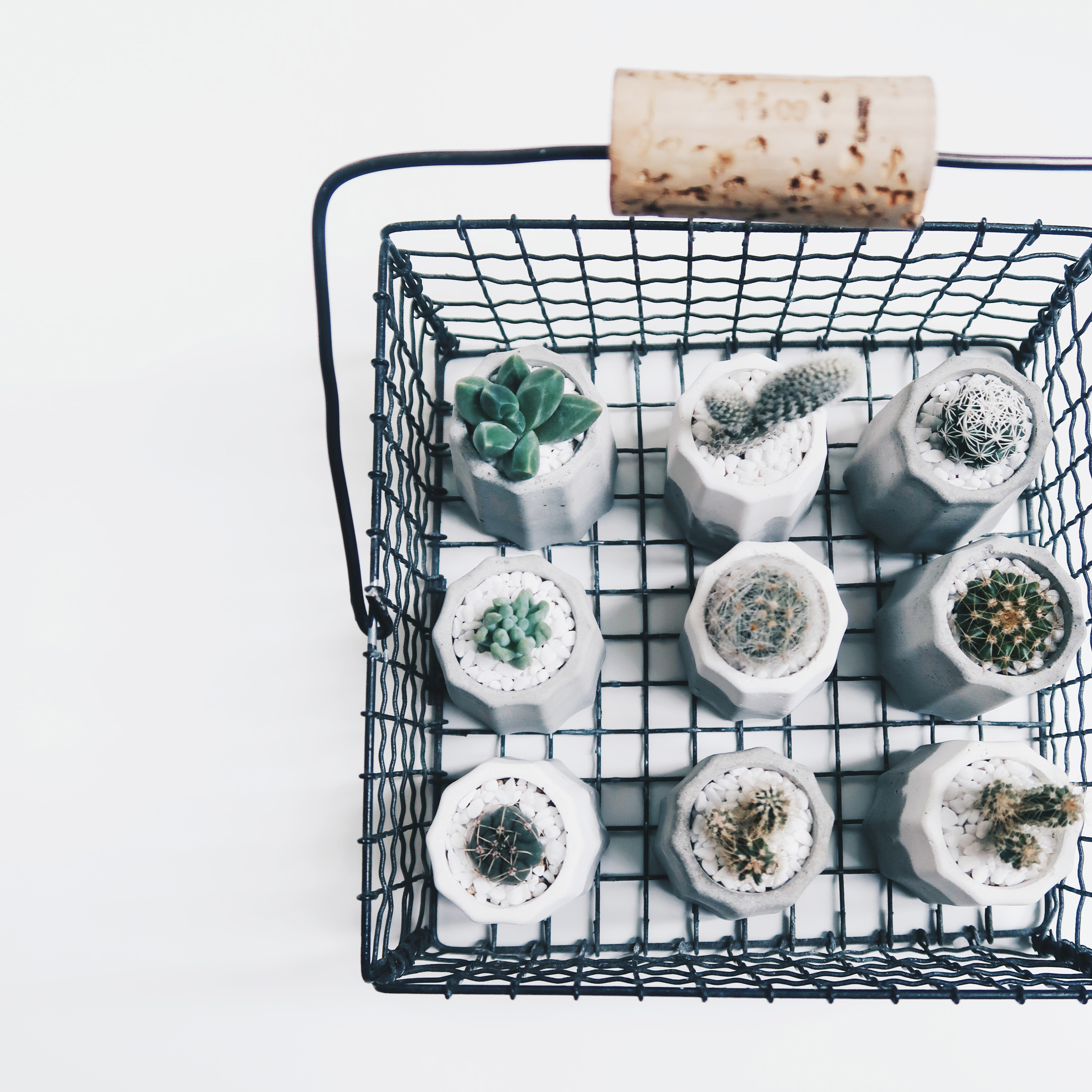 MINI CANELÉ 迷你可麗露 / 多肉・仙人掌水泥甜點盆栽