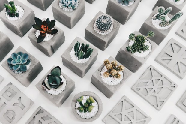 / 水泥創作 / 學校・企業團體課程規劃