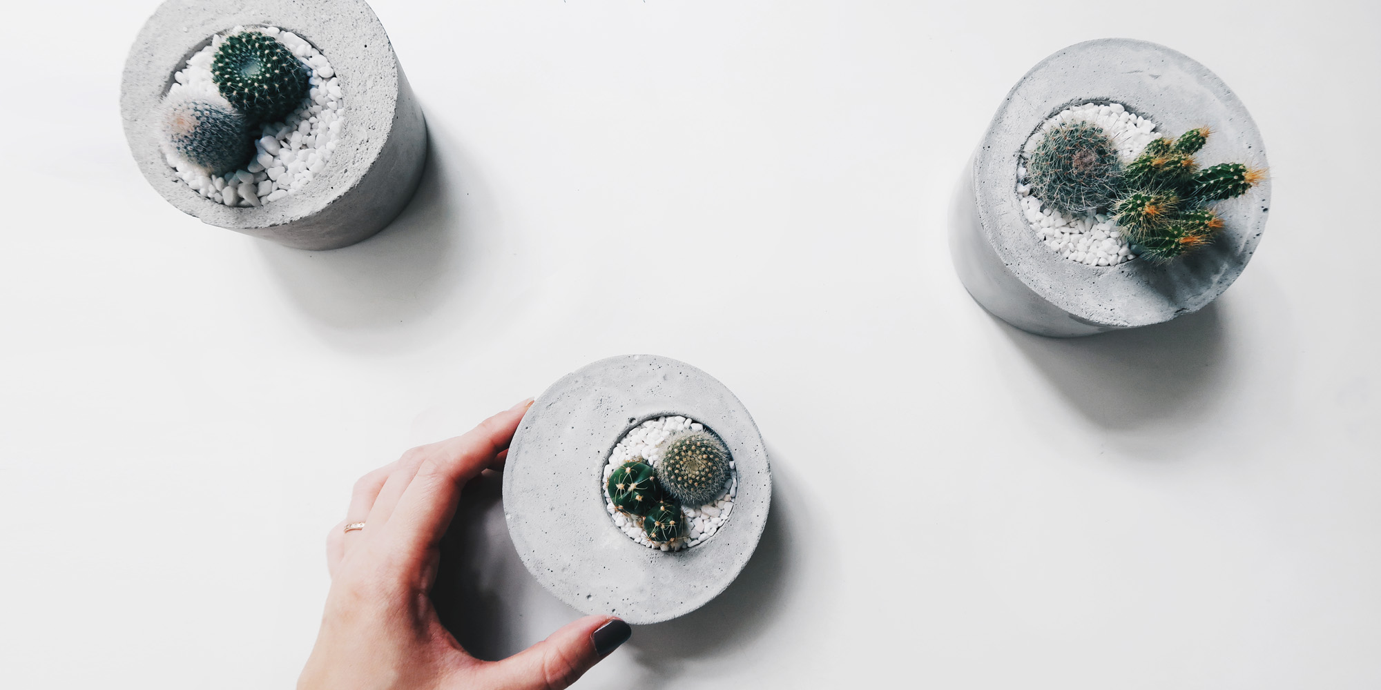 水泥手作&植栽課程:不對稱小島 / 仙人掌水泥植栽創作