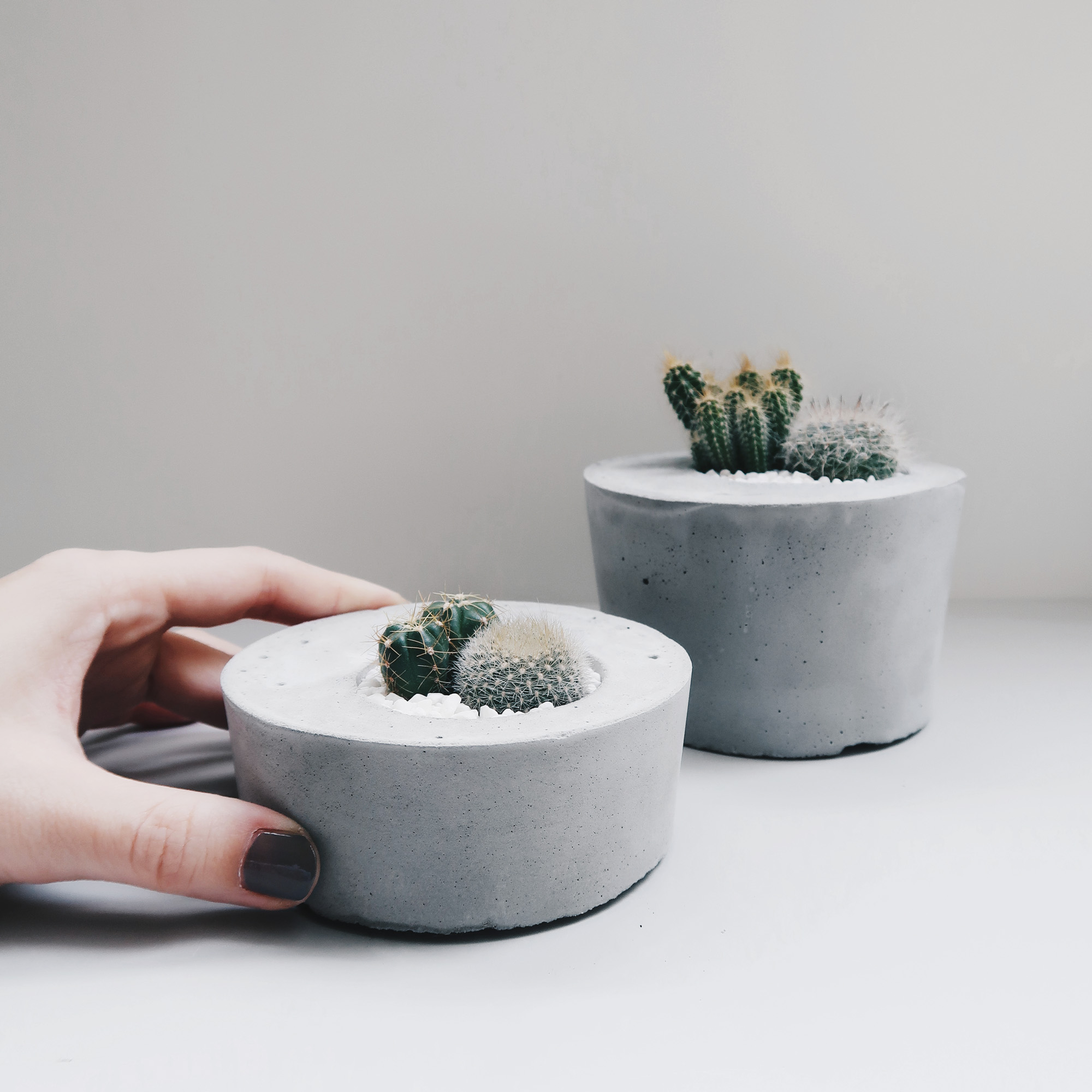 不對稱小島 / 仙人掌水泥植栽創作