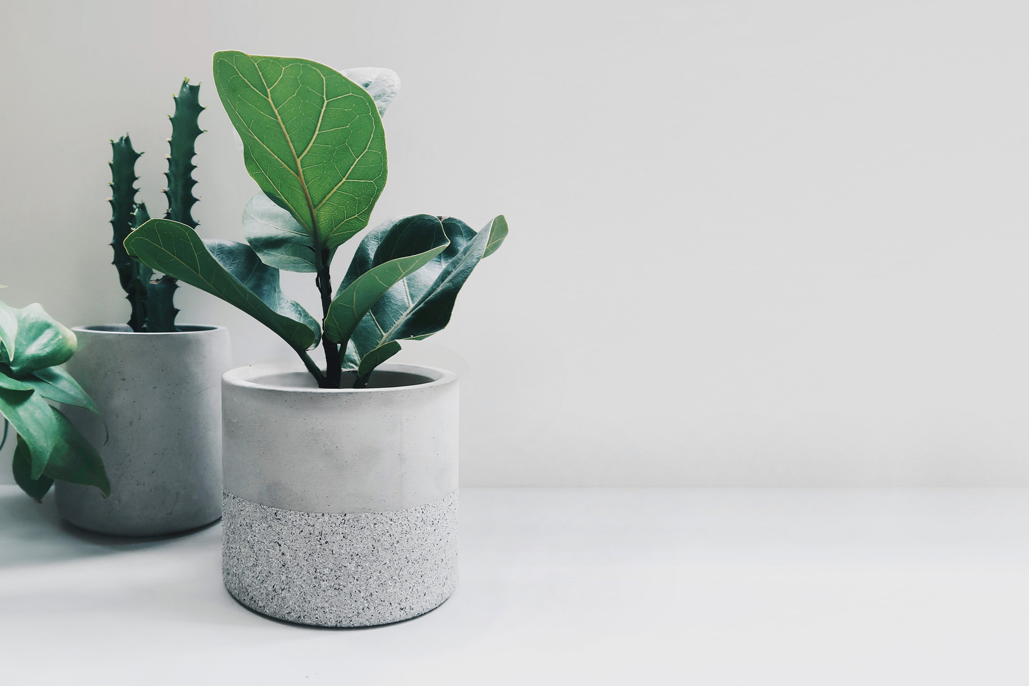 =GRANITE 花崗岩深圓水泥盆器