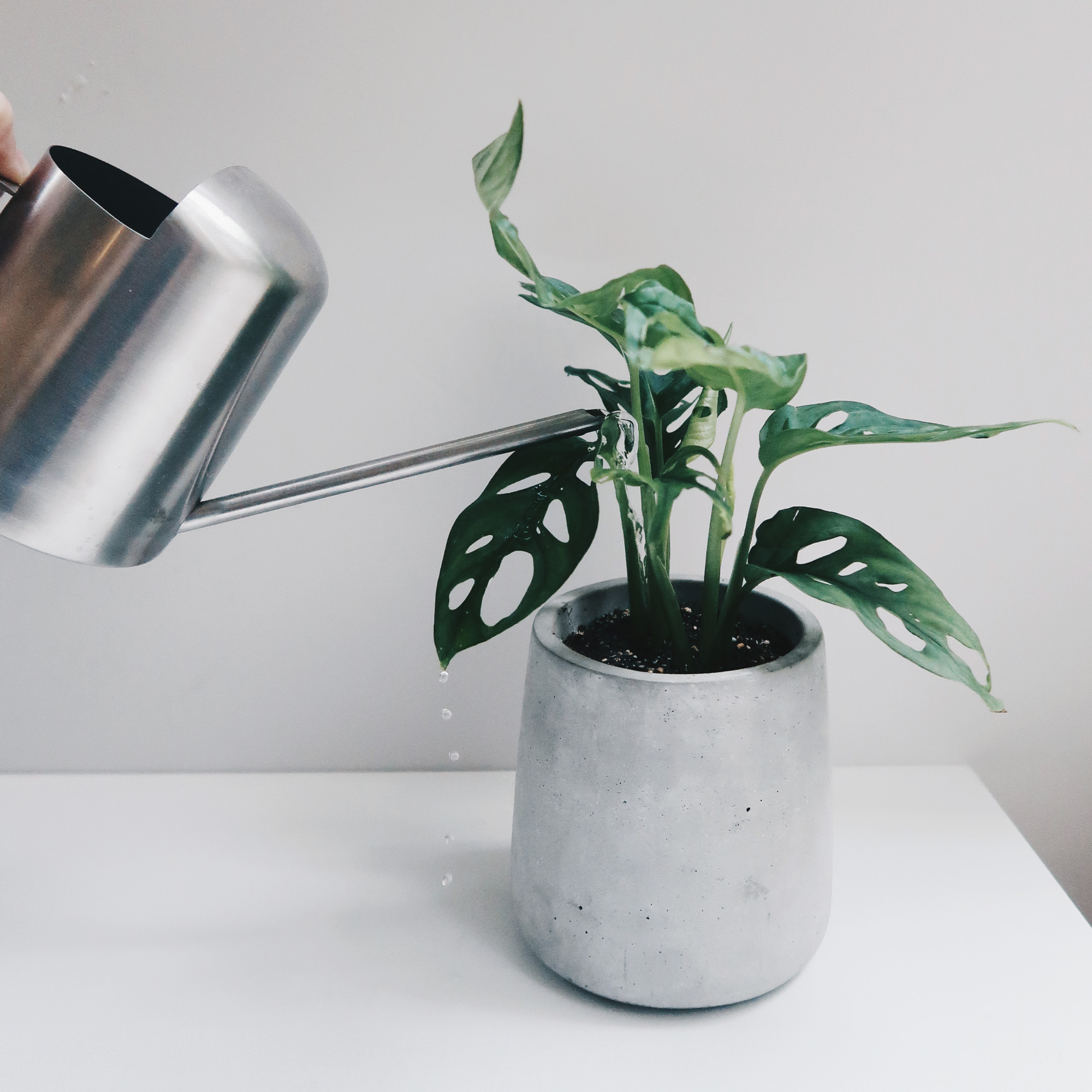 Concrete Design 水泥設計家飾・盆器・盆栽