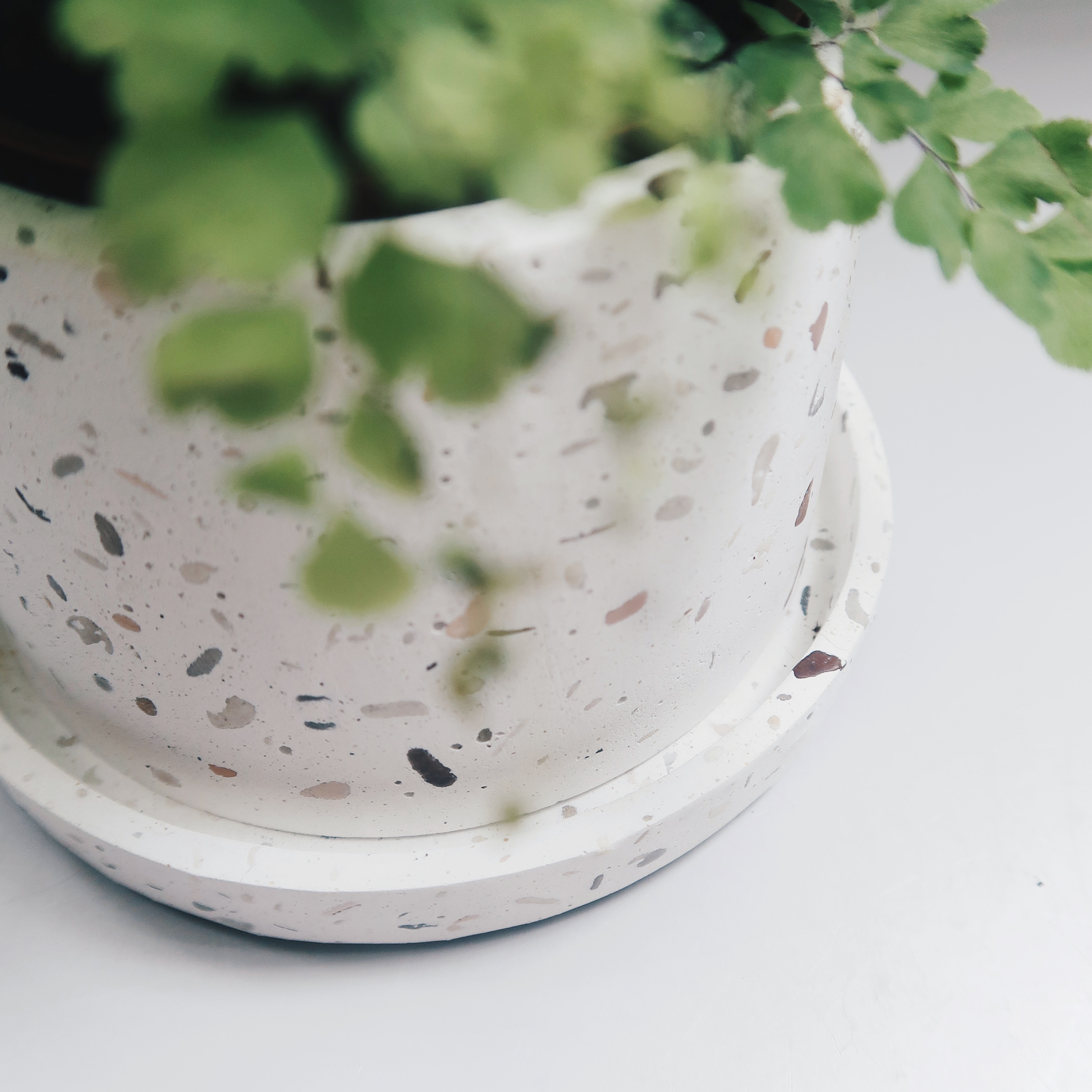 磨石子暮色迷霧梯形水泥盆器・盆栽・植栽