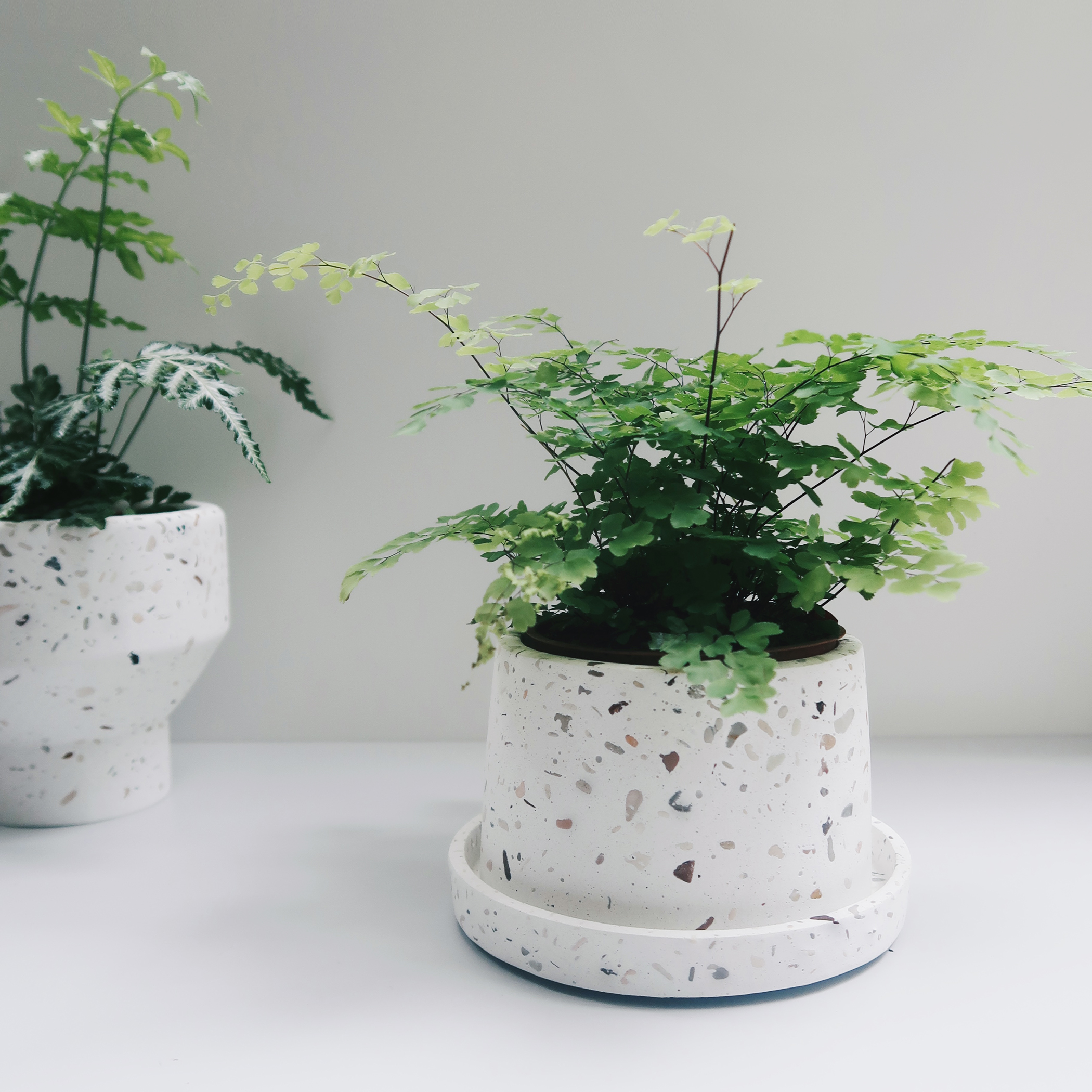 Concrete Design 水泥設計家飾・盆器・盆栽