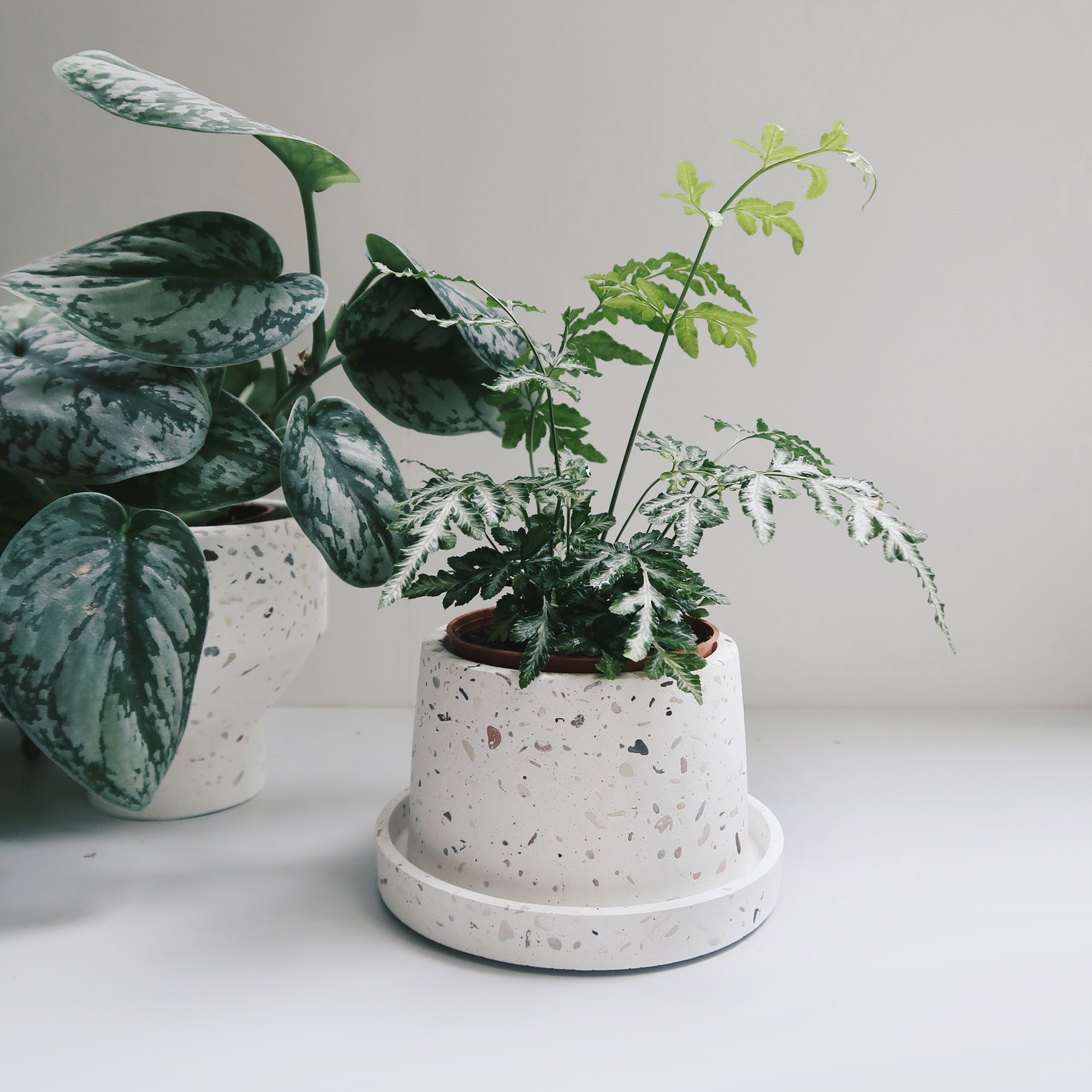 Concrete Design 水泥設計家飾・盆器・盆栽