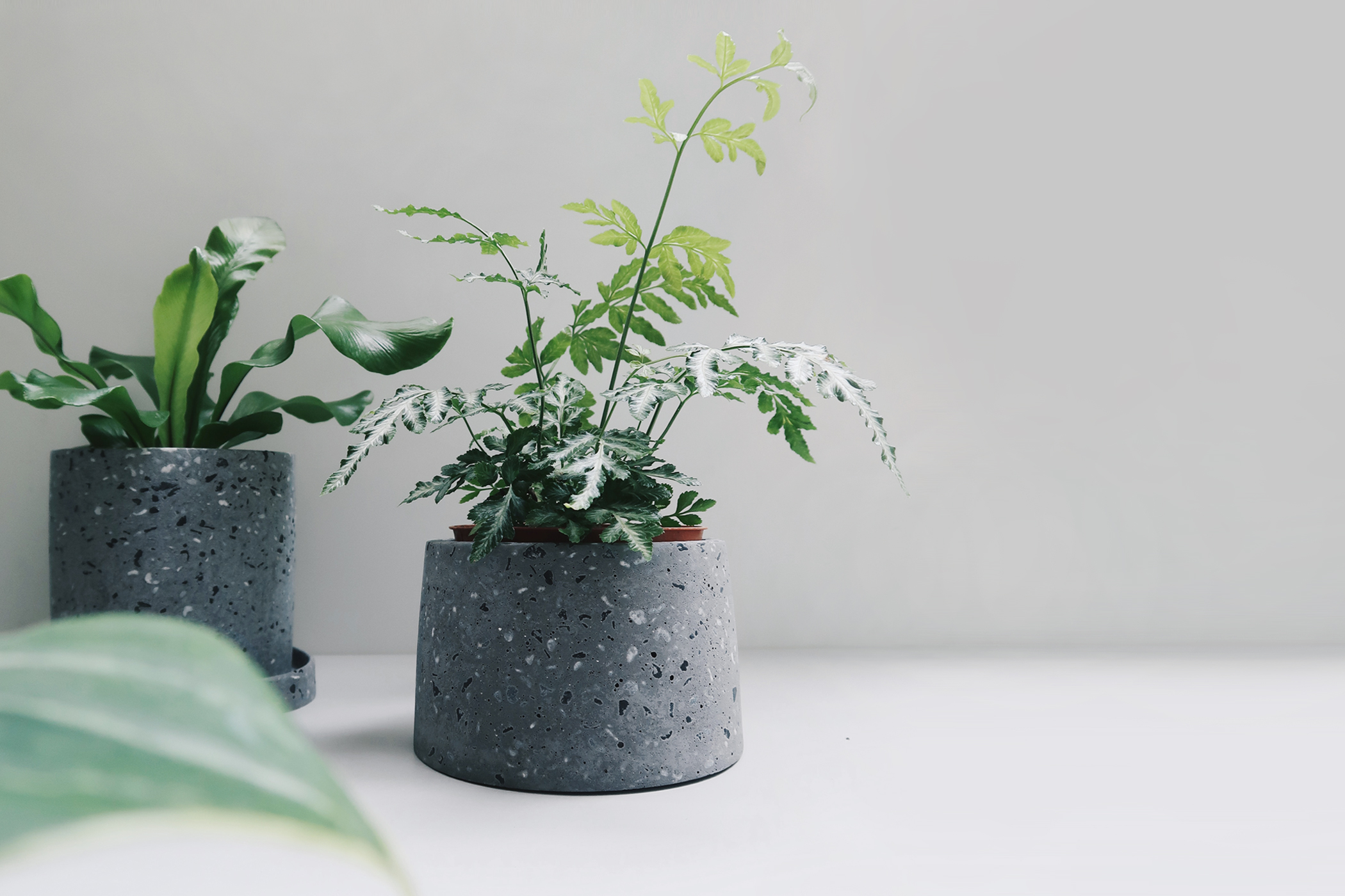 =TERRAZZO 水磨石午夜煙灰梯形水泥盆器・花盆・花器