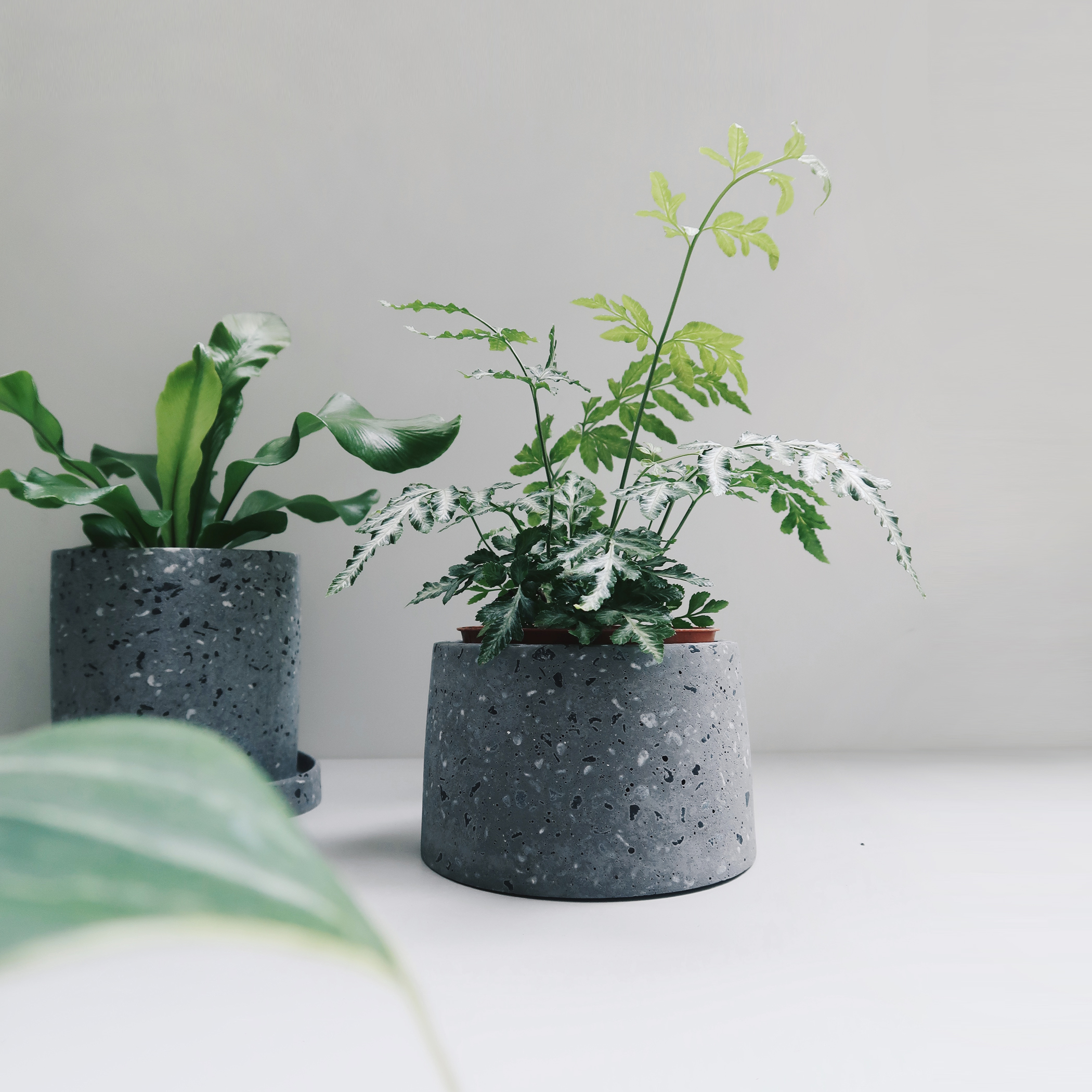 Concrete Design 磨石子設計家飾・盆器・盆栽