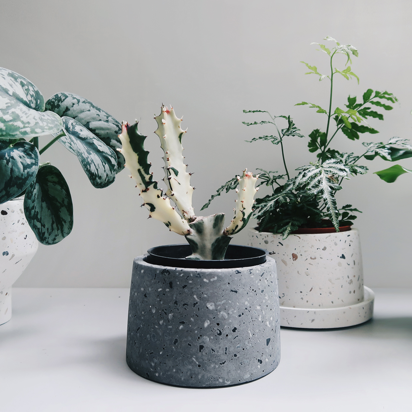 TERRAZZO 水磨石午夜煙灰梯形水泥盆器・盆器・盆栽