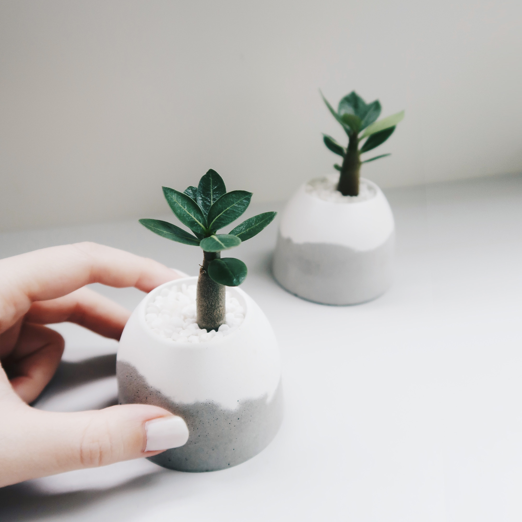 HILL ISLAND 小島山雪景水泥盆器