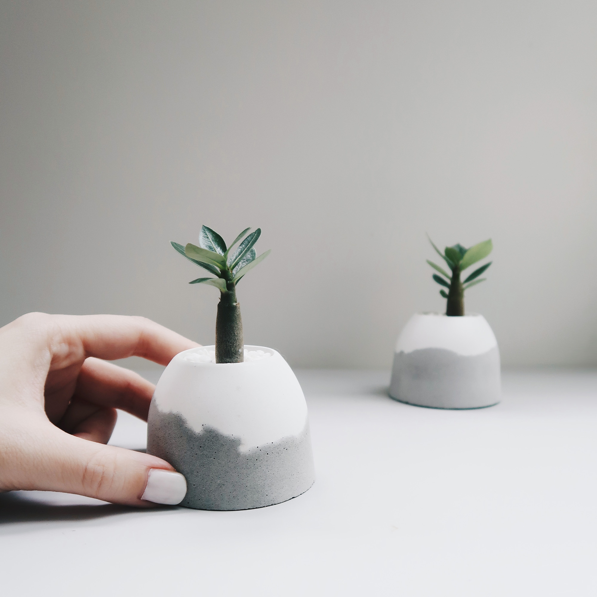 HILL ISLAND 小島山雪景水泥盆器